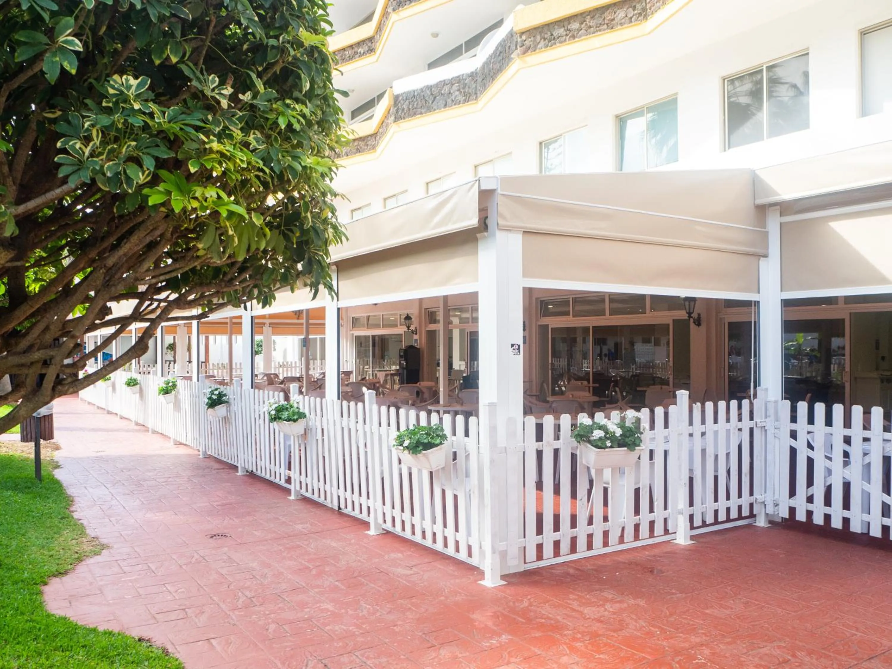 Restaurant/places to eat in Complejo BLUESEA Puerto Resort compuesto por Hotel Canarife y Bonanza Palace