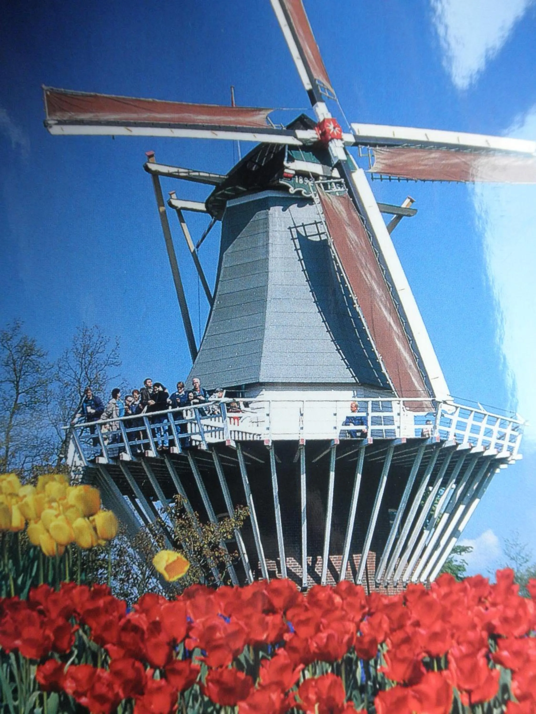 Area and facilities in Hotel Orion