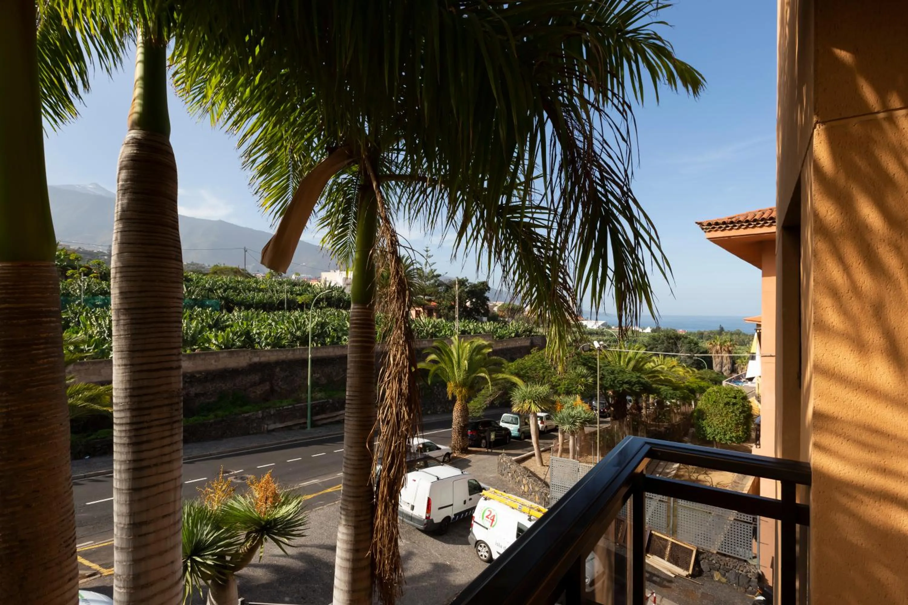 View (from property/room) in AluaSoul Orotava Valley - Adults Only