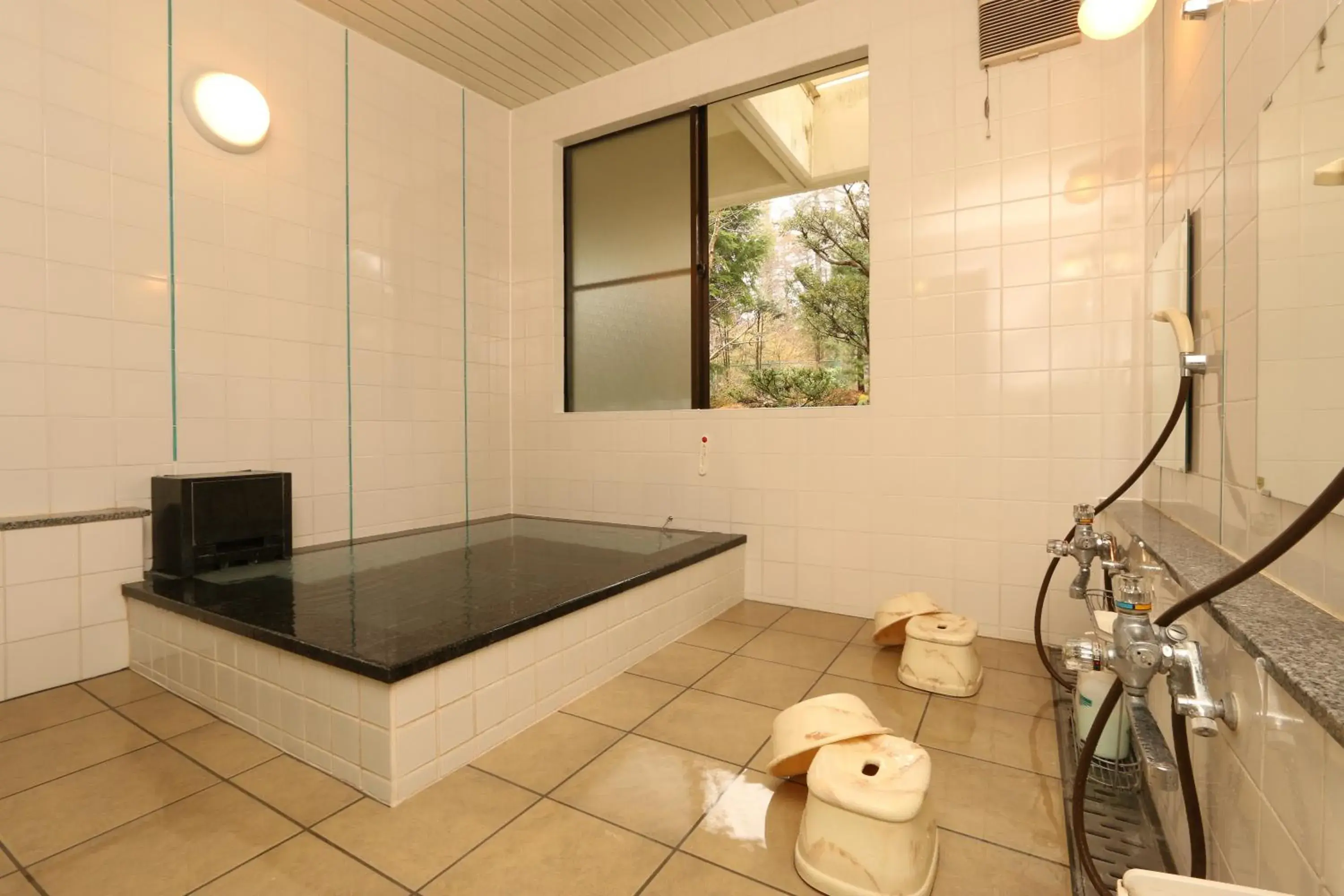 Other in Teiensaryo Yamanakako Other in Teiensaryo Yamanakako