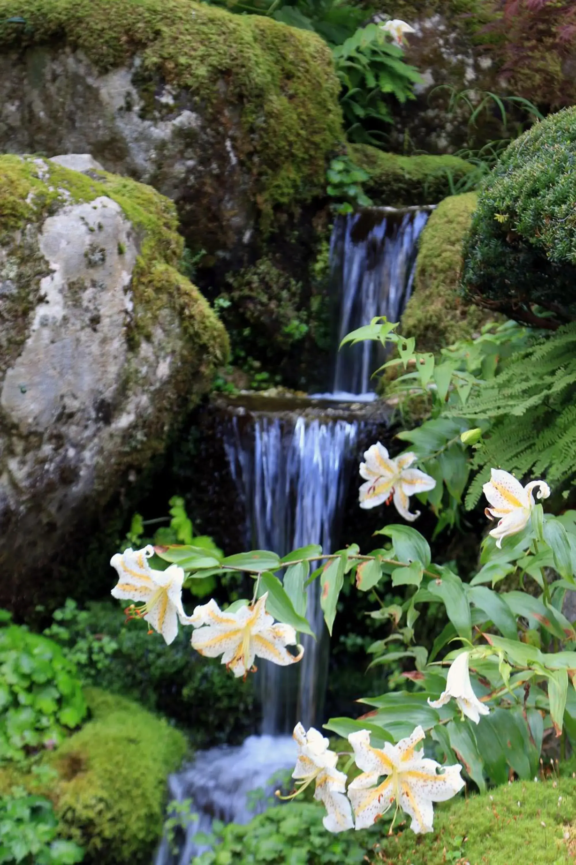 Garden view in Teiensaryo Yamanakako Garden view in Teiensaryo Yamanakako