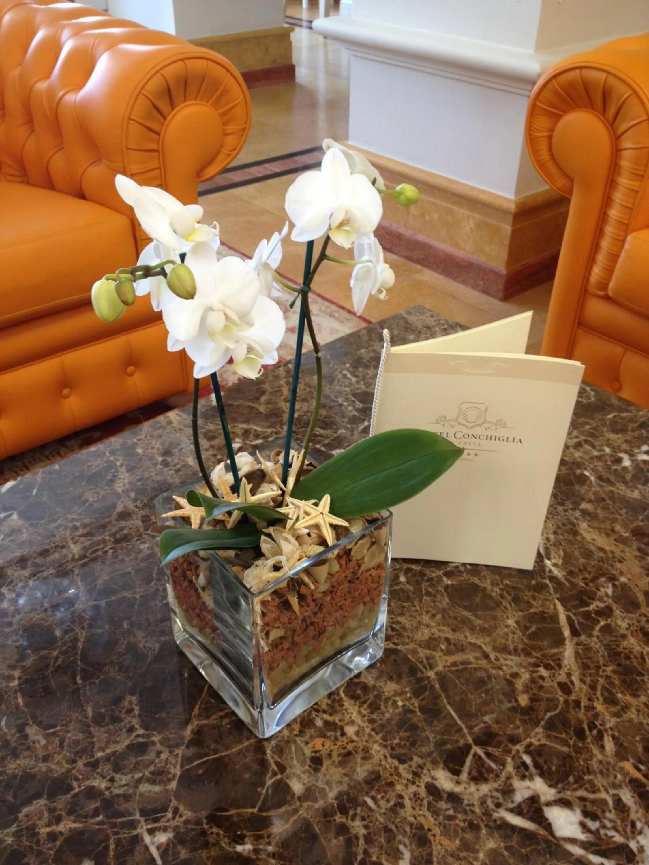 Seating area in Hotel Conchiglia