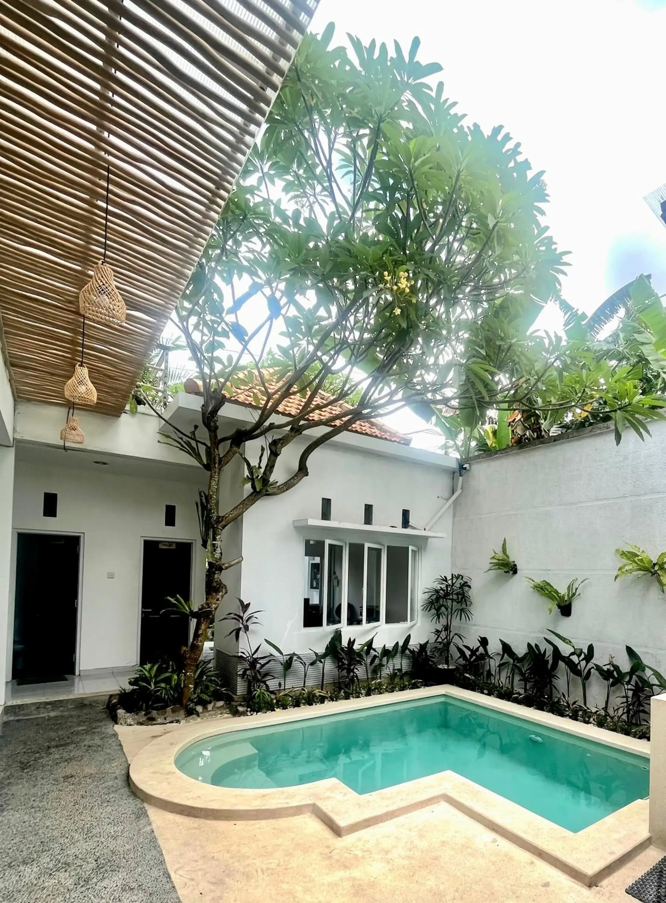 Best Canggu Hostel Best Canggu Hostel
