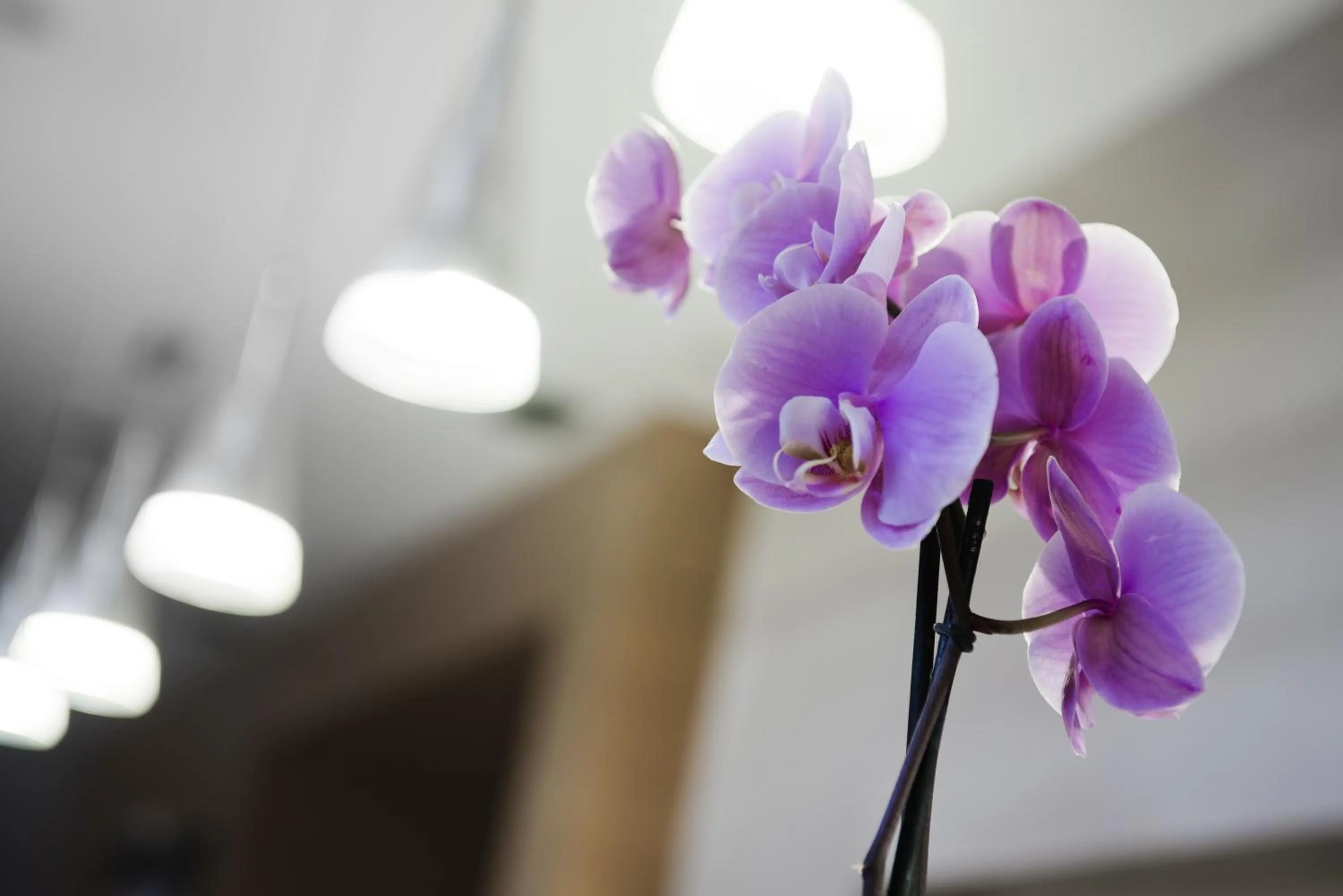 Decorative detail in Elba Almeria Business & Convention Hotel