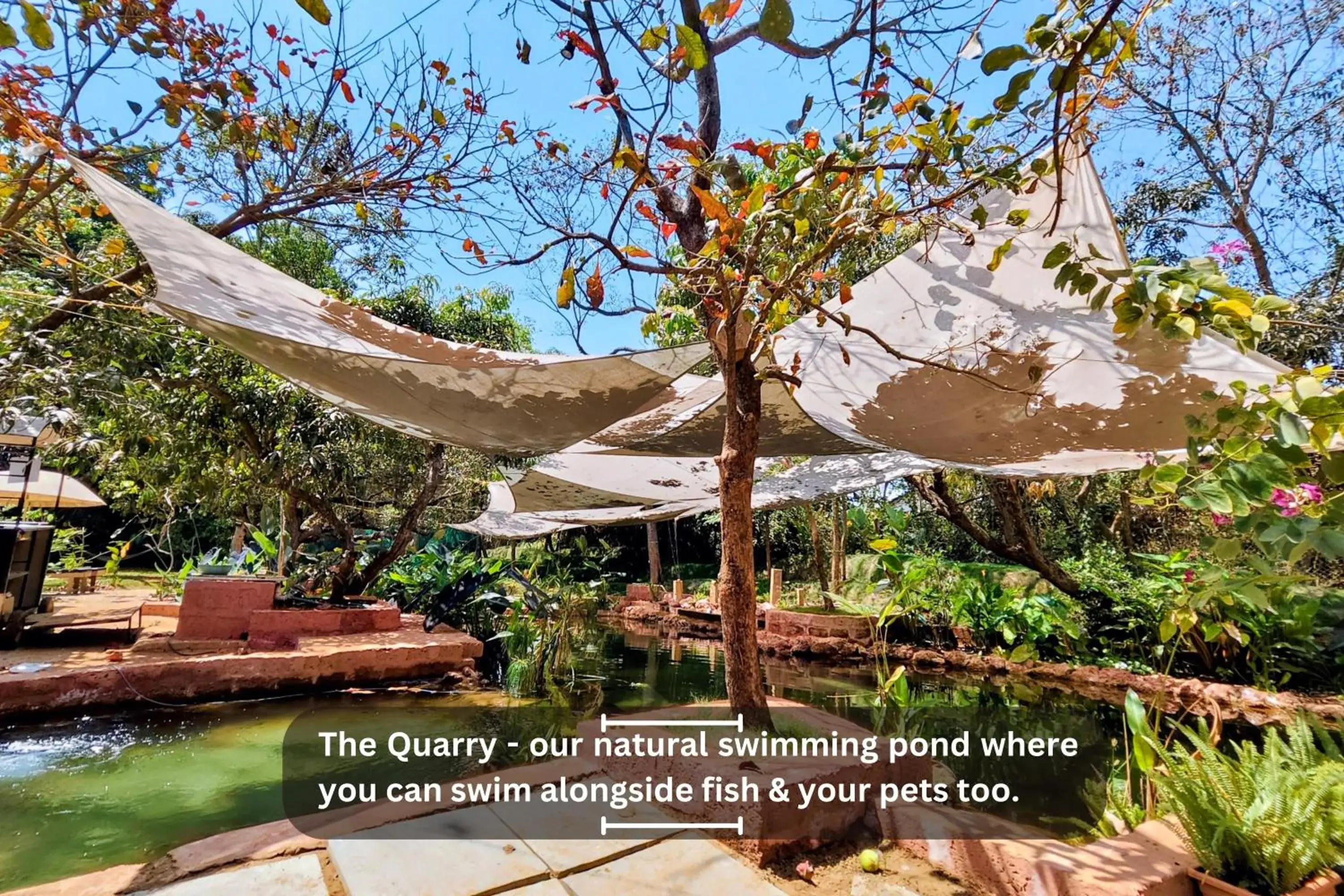 Swimming pool in Circle Swimming pool in Circle