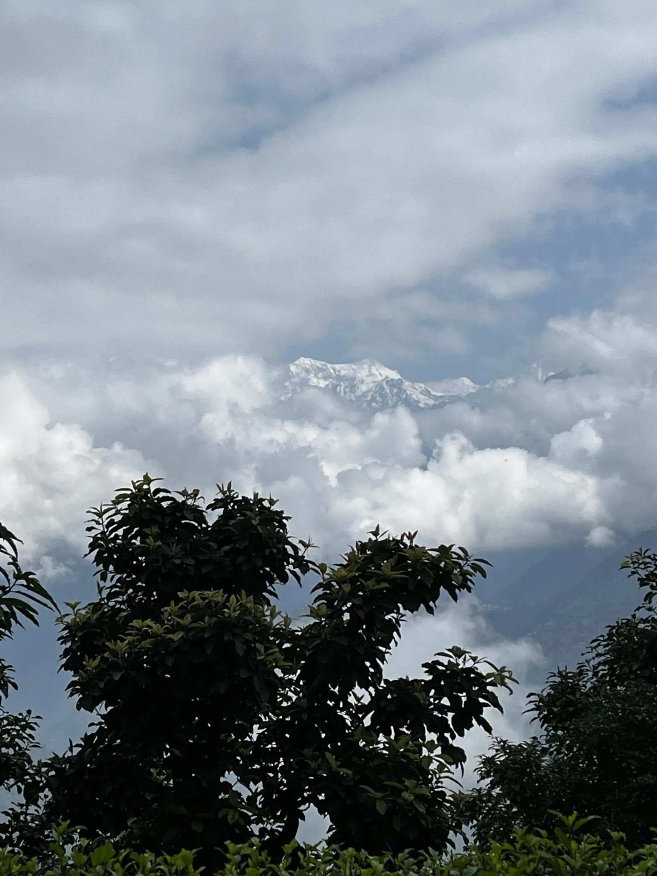 Natural landscape in The Nettle and Fern Farmstay