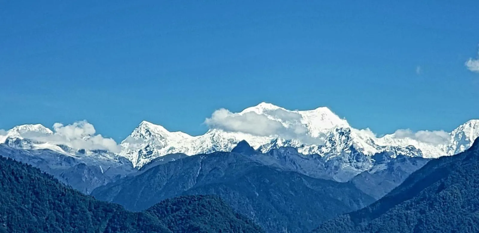 Mountain view in The Nettle and Fern Farmstay