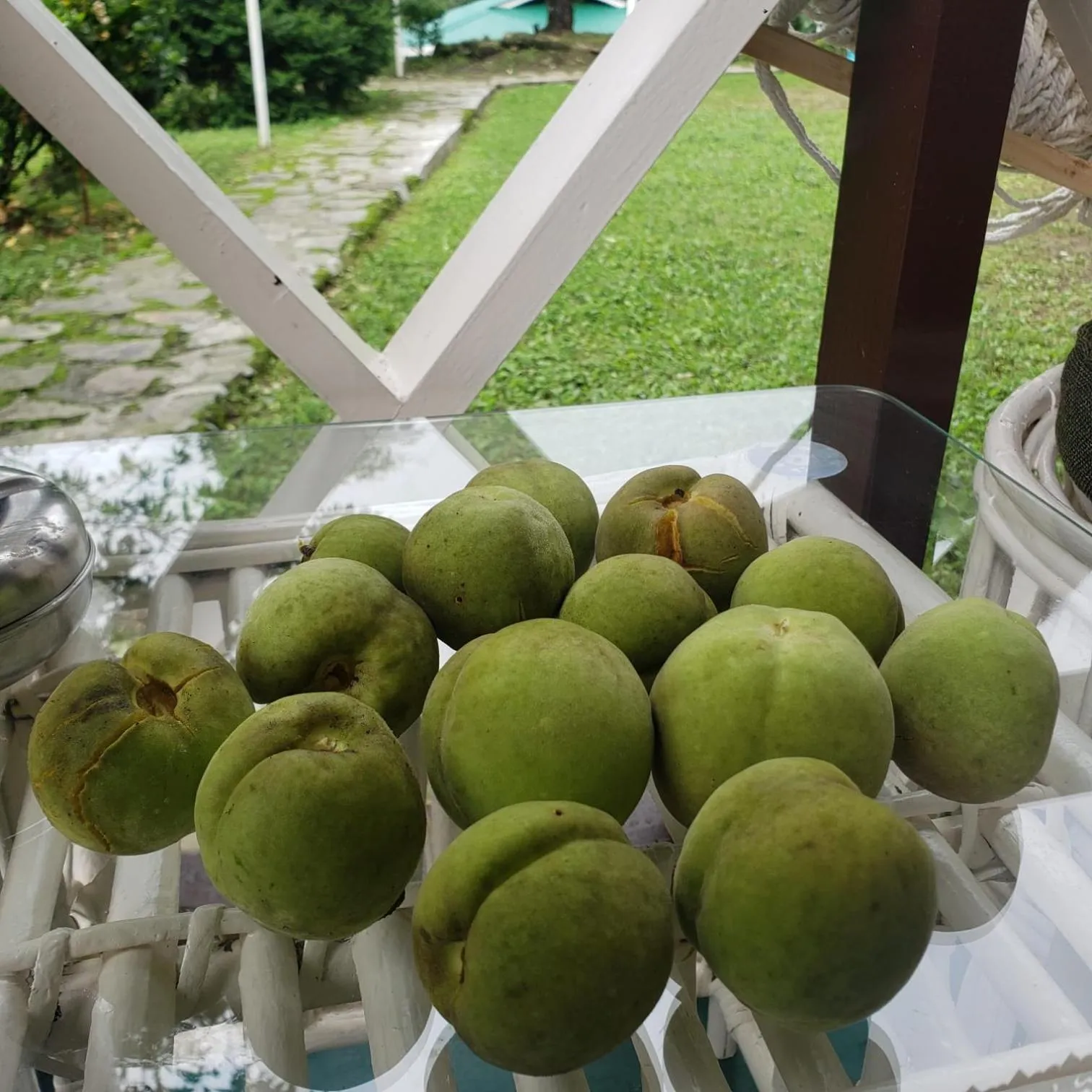 Garden in The Nettle and Fern Farmstay