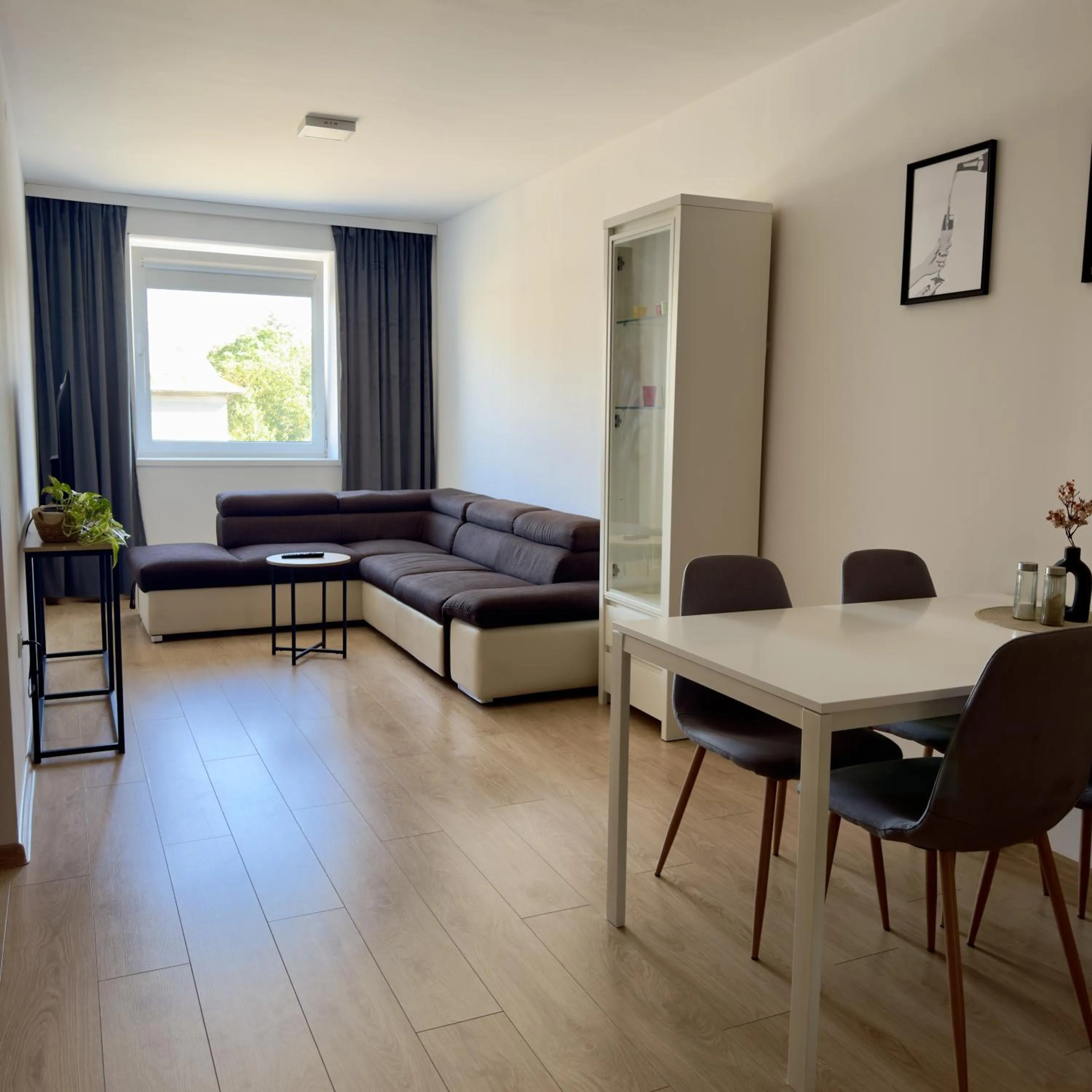 Living room in Central Apartments