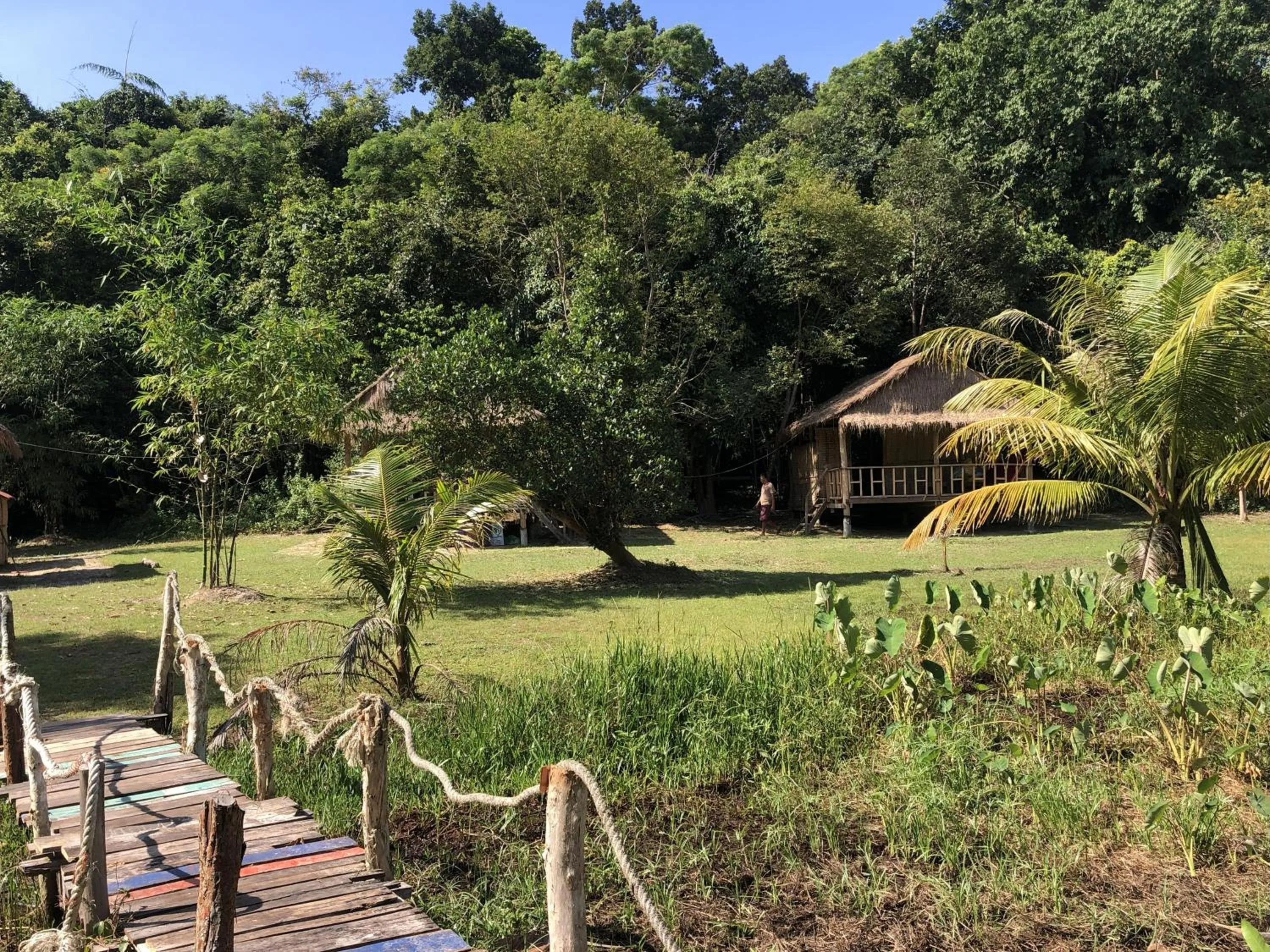 Garden in The Last Point Koh Takiev