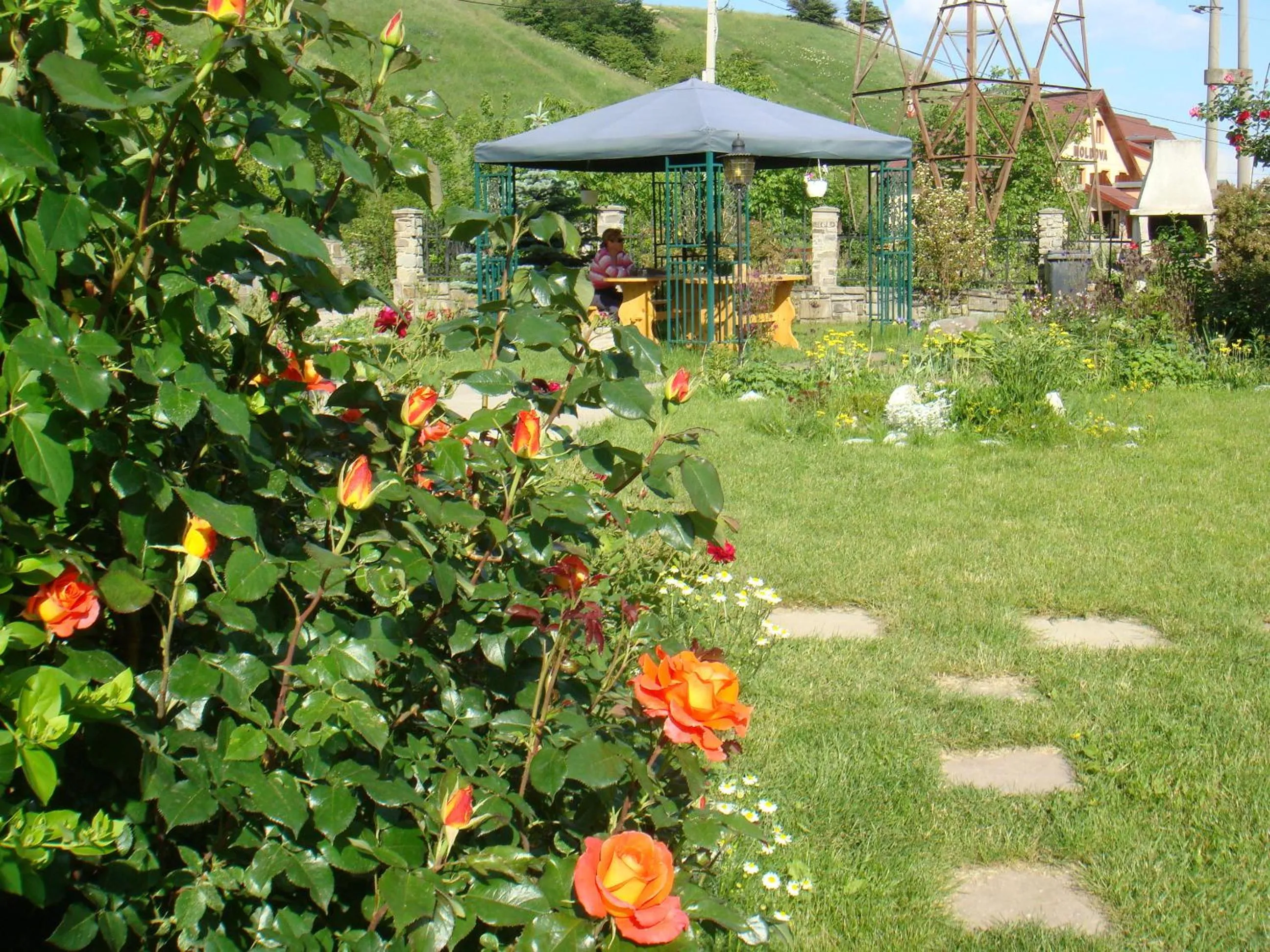 Garden in Pensiunea Ambiance