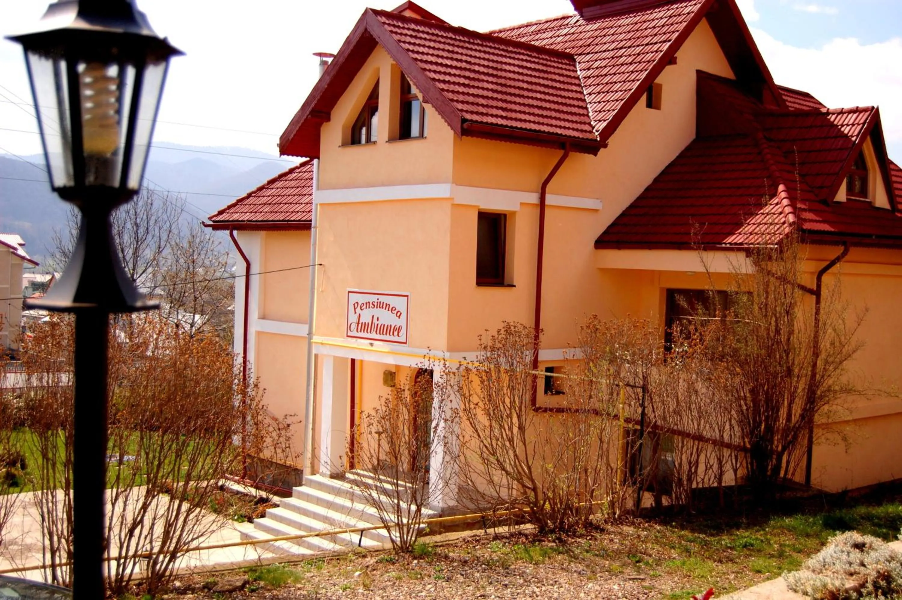 Facade/entrance in Pensiunea Ambiance