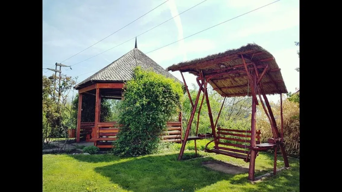 Garden in Pensiunea Ambiance