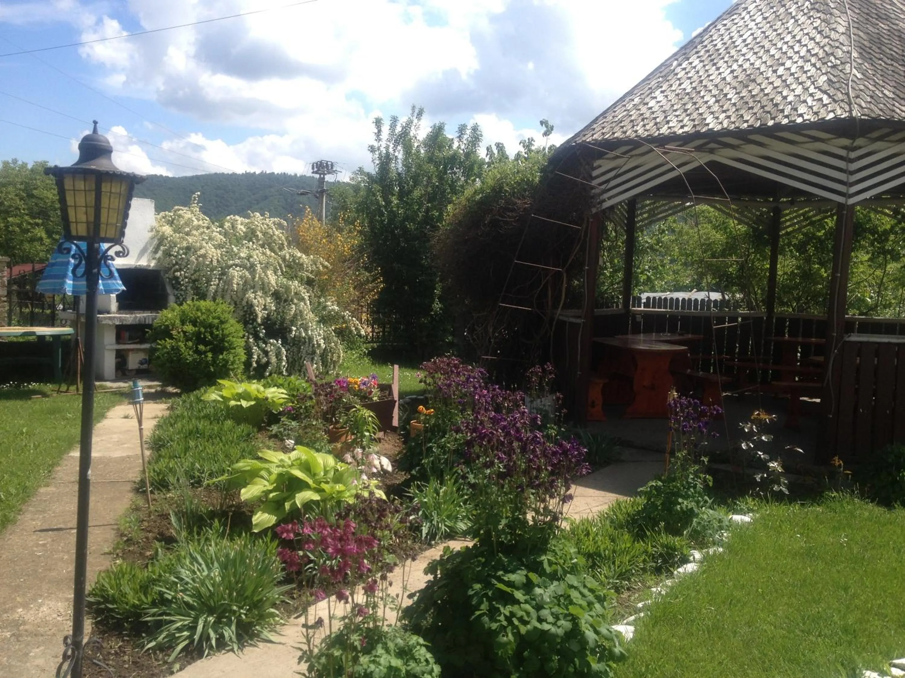 Garden in Pensiunea Ambiance