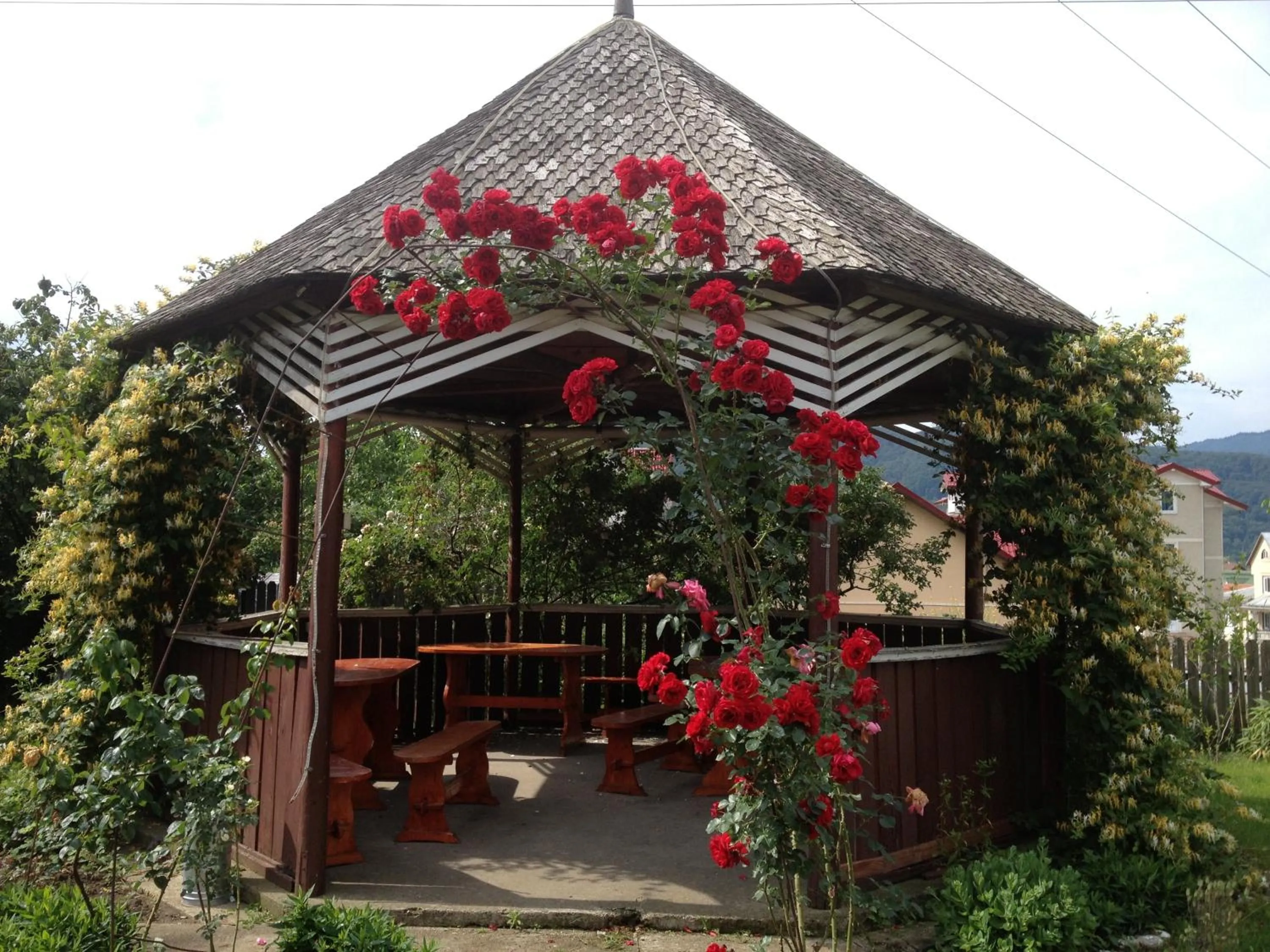 Garden in Pensiunea Ambiance