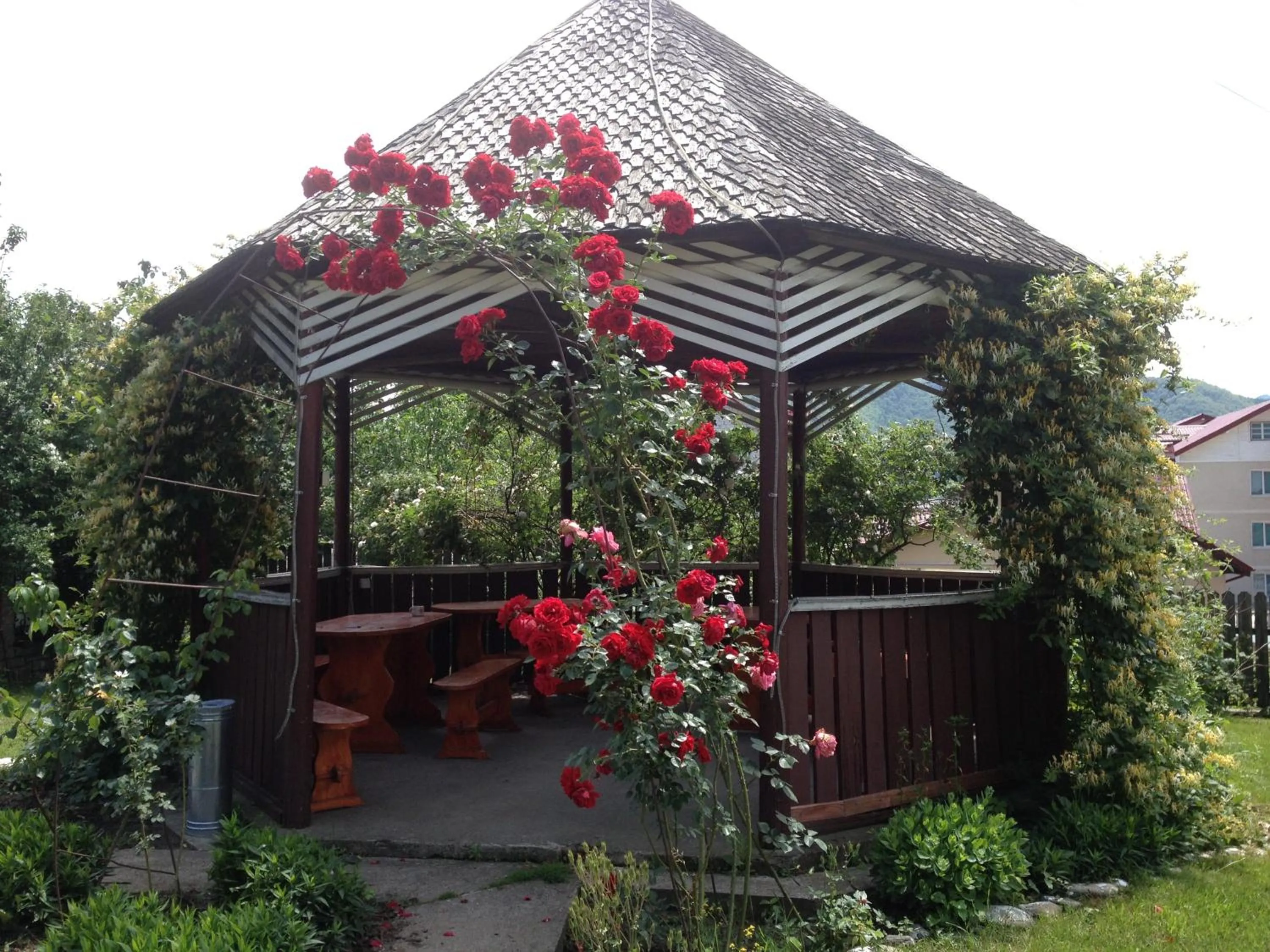 Garden in Pensiunea Ambiance