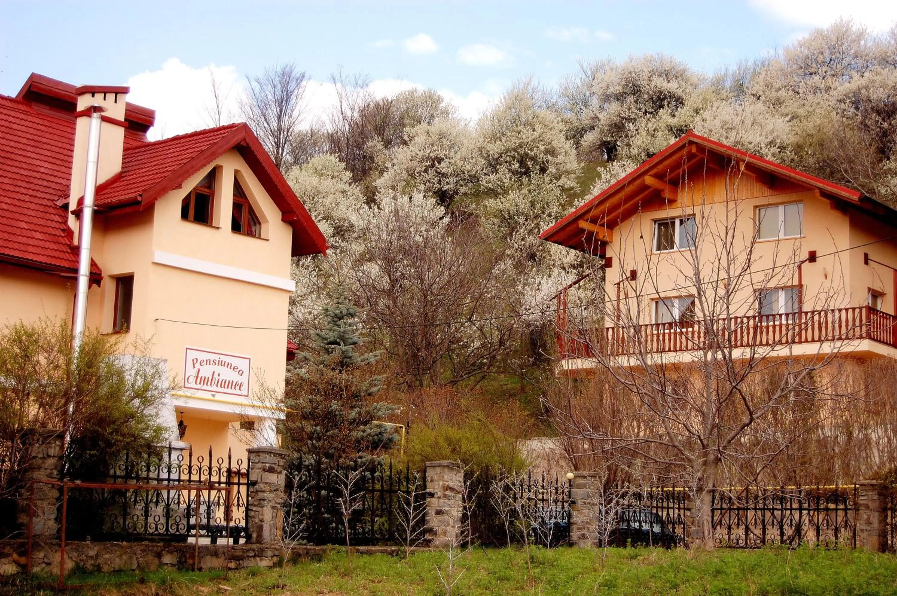Facade/entrance in Pensiunea Ambiance