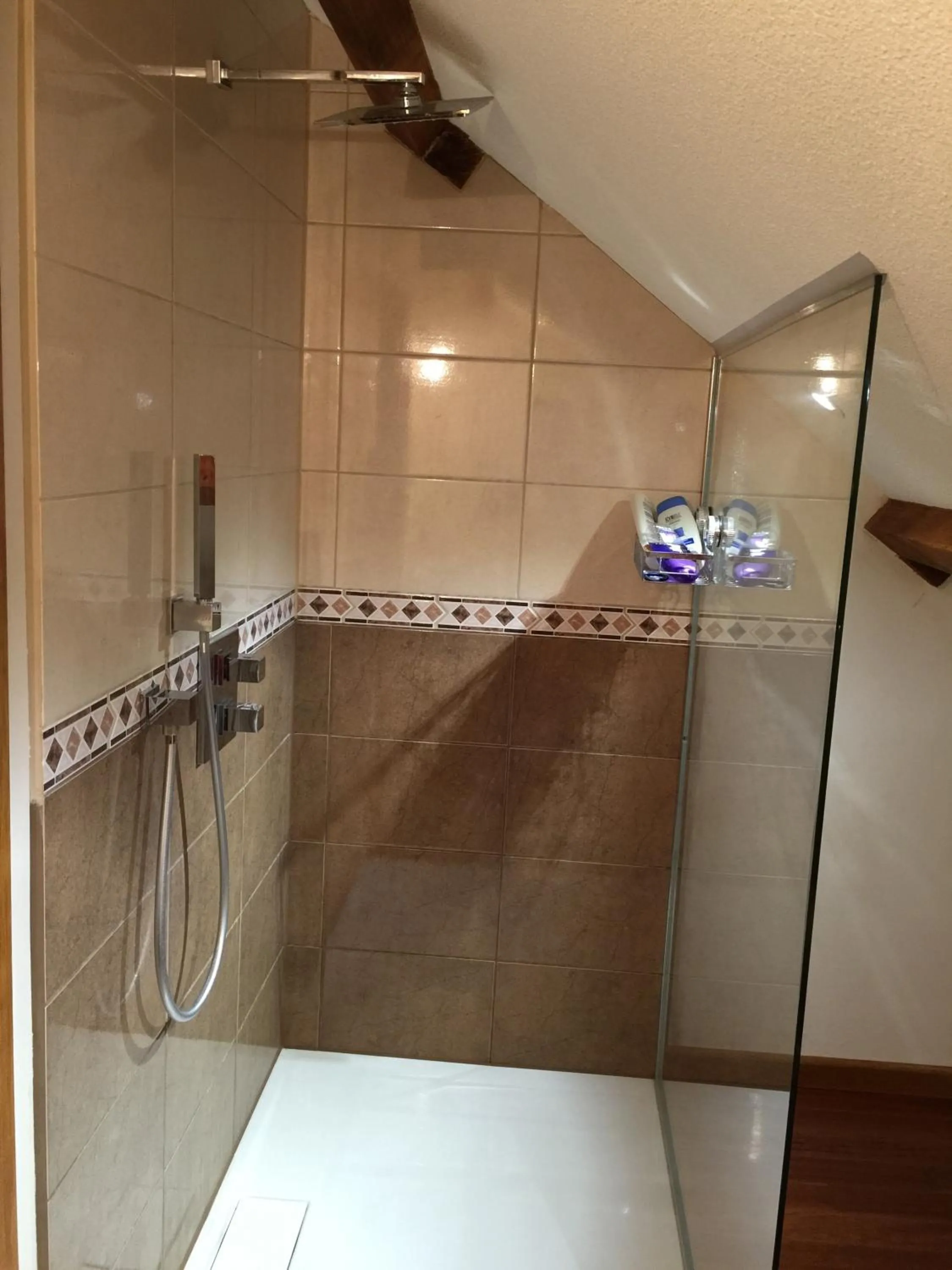 Shower in Le Papillon d'Or