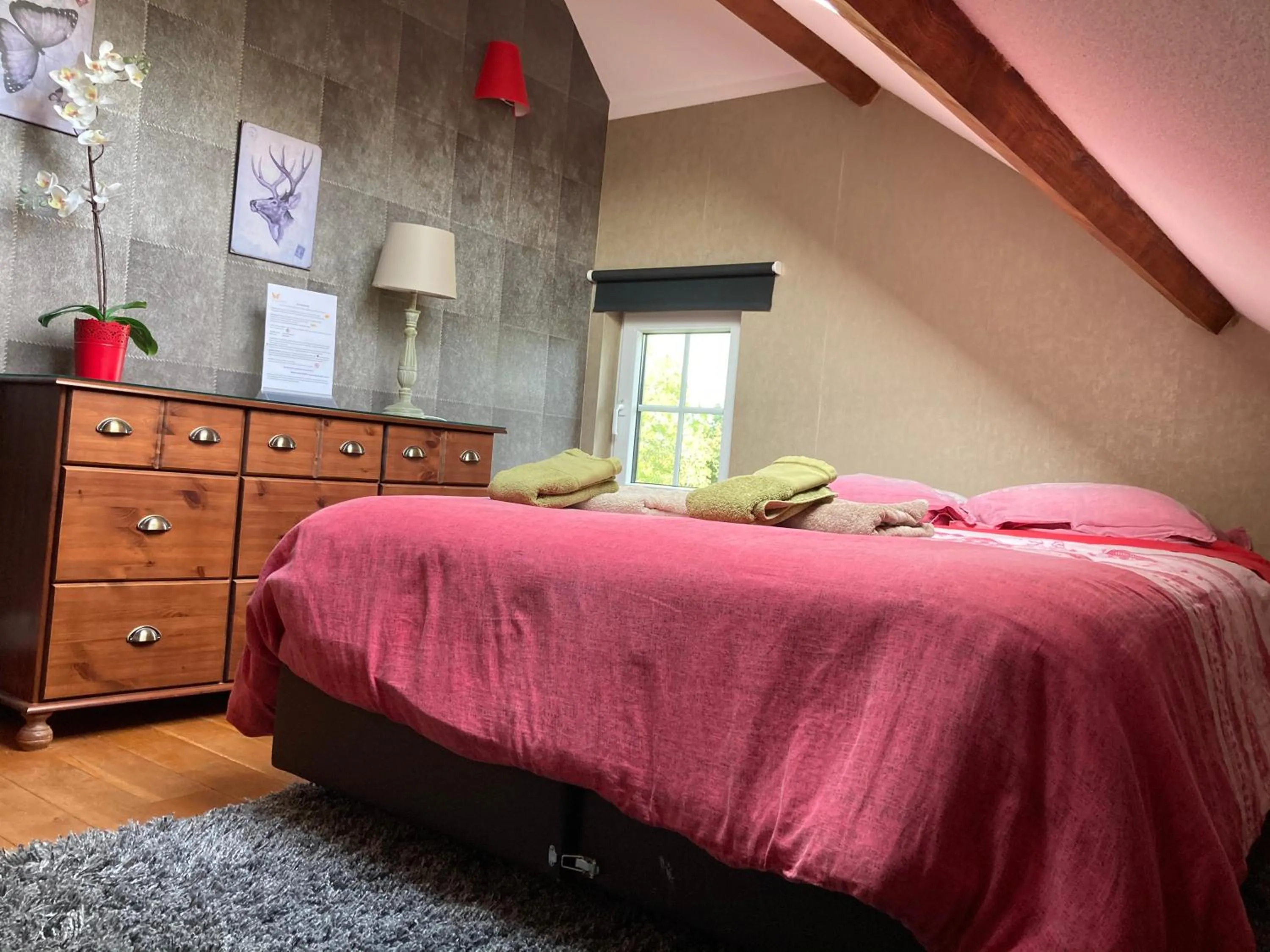Photo of the whole room, Bed in Le Papillon d'Or