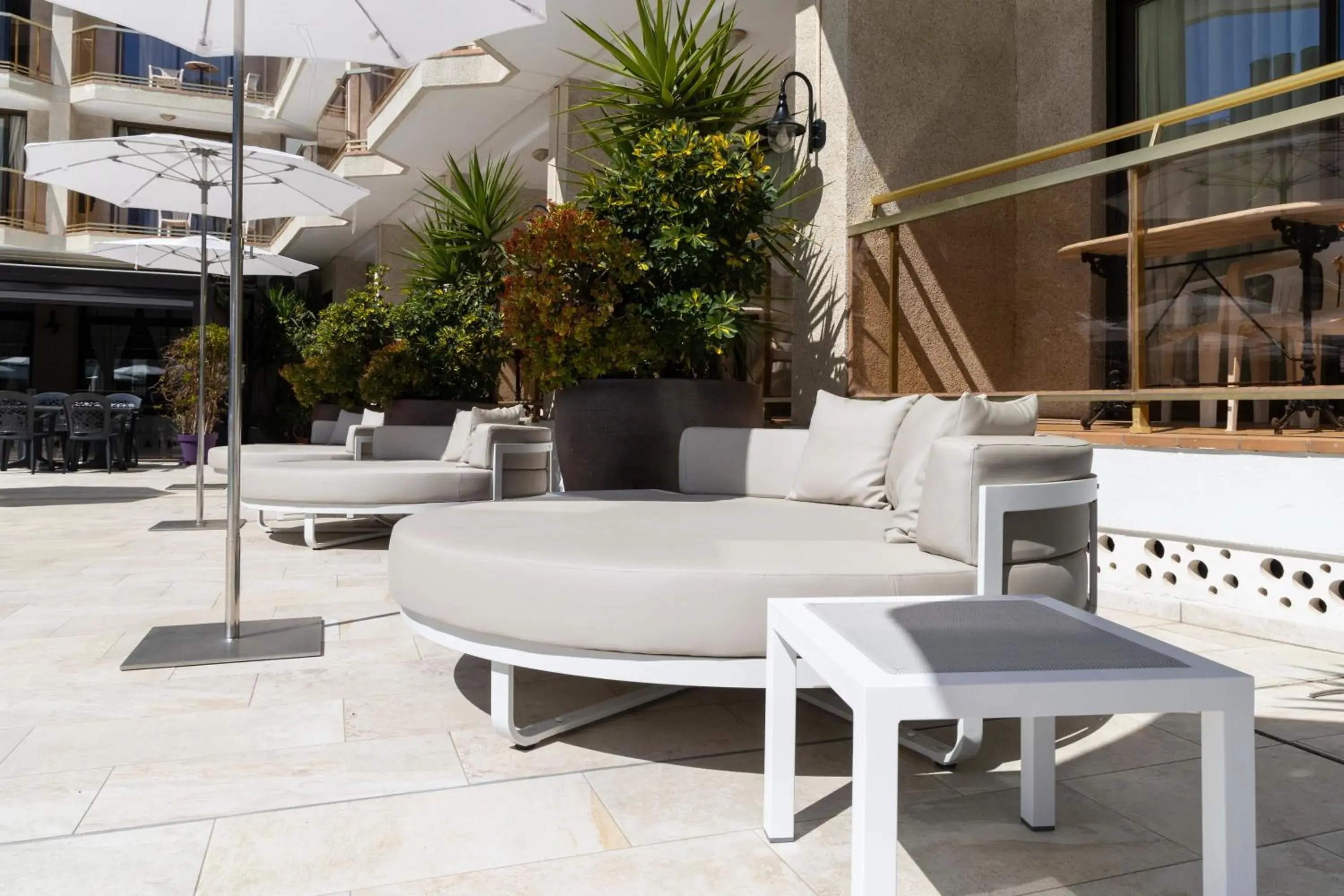 sunbed in Aparthotel Miami Park sunbed in Aparthotel Miami Park