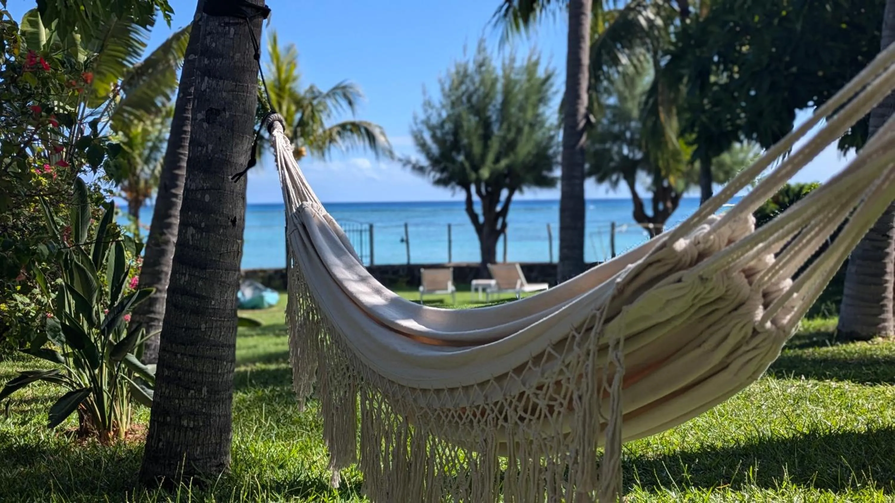Garden in La Maison de la plage - Guest House