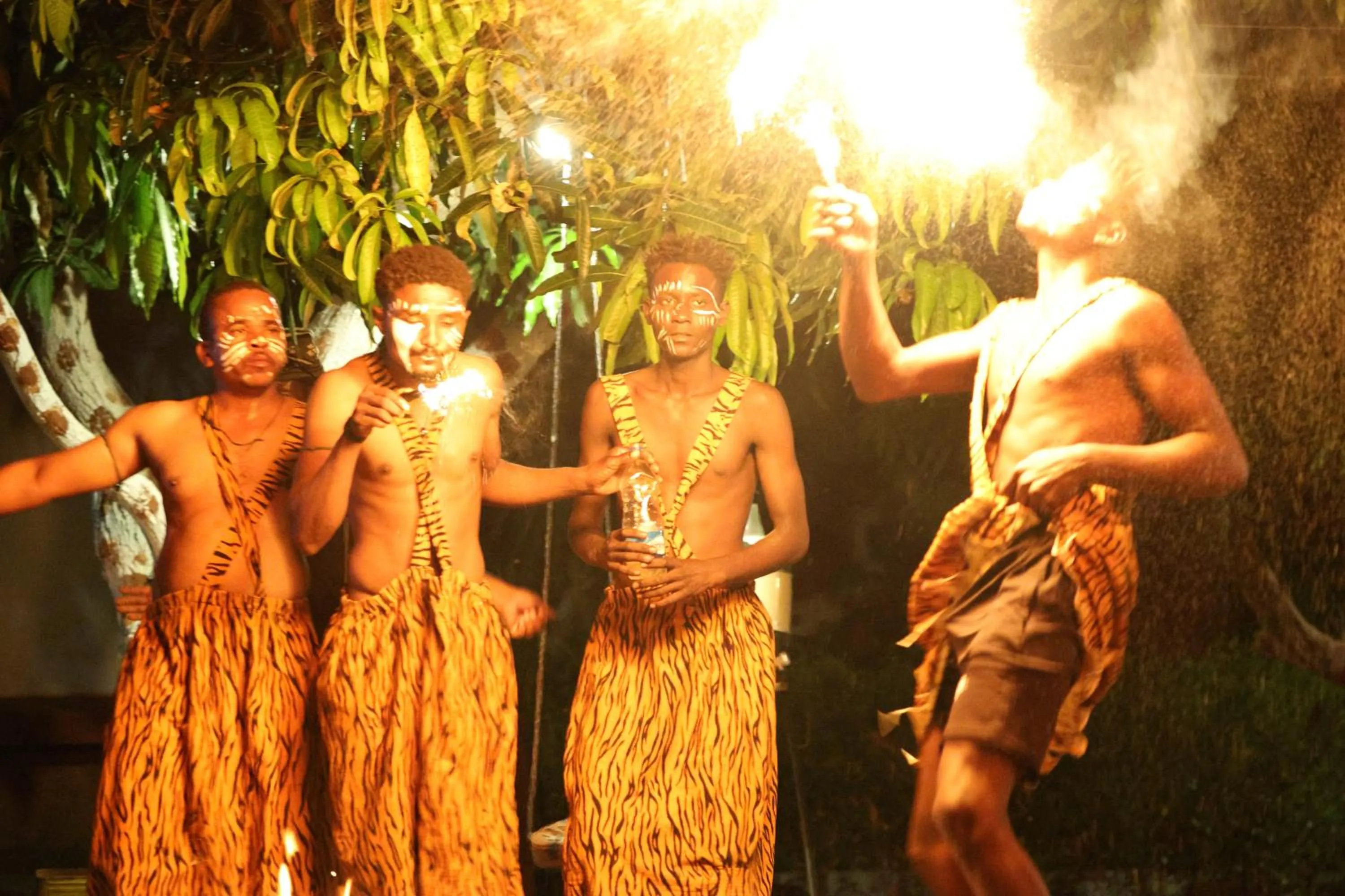 Night in Amraness Luxury Resort Sasan Gir