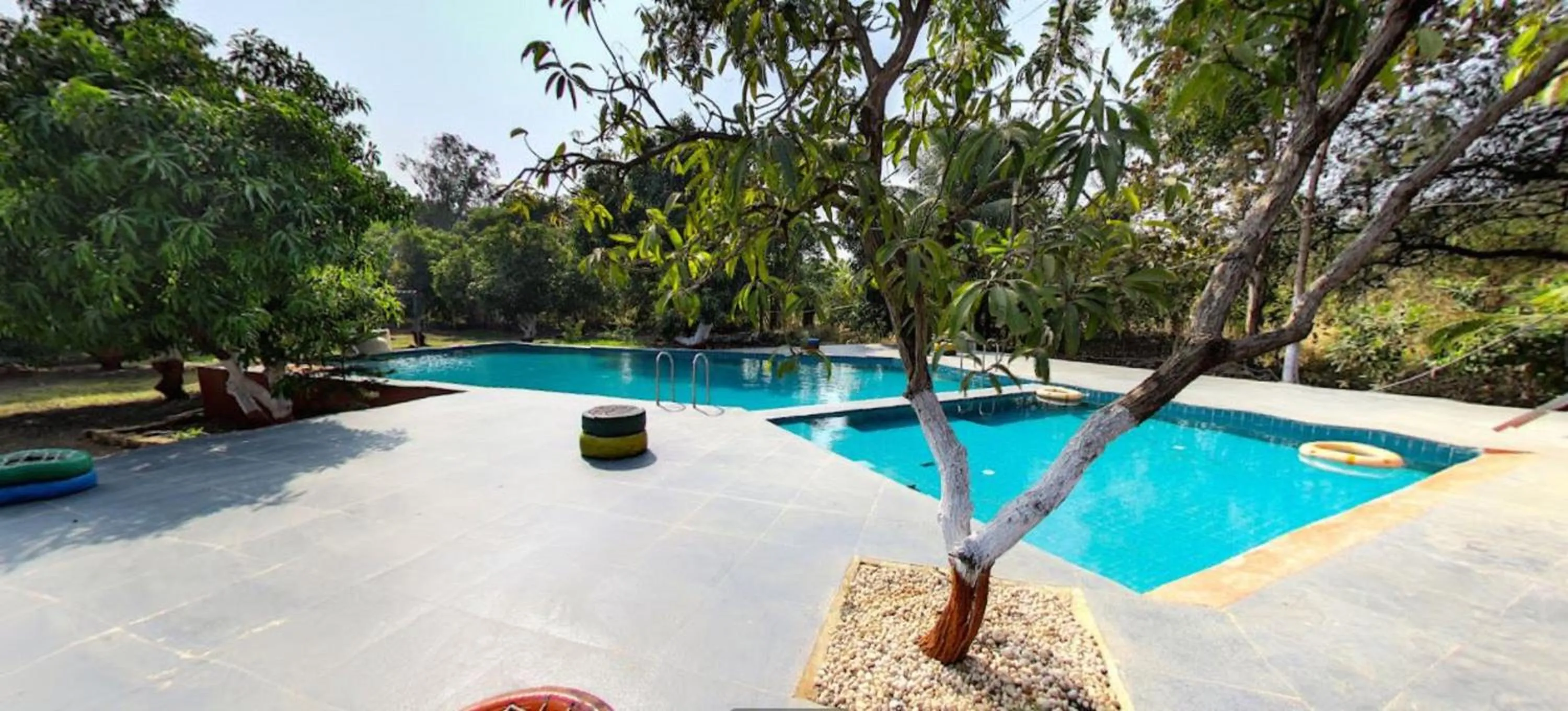 Pool view in Amraness Luxury Resort Sasan Gir