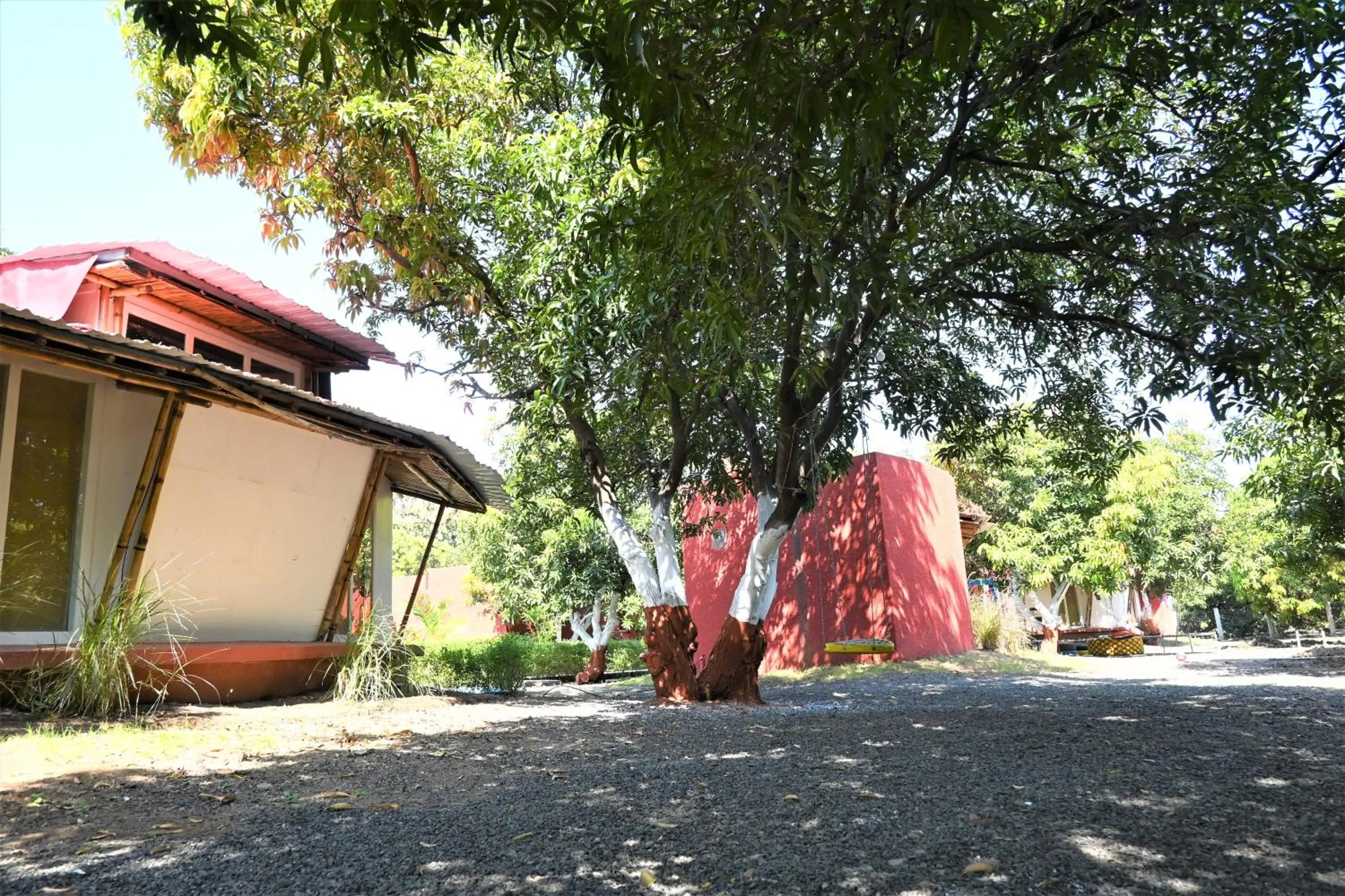 Garden view in Amraness Luxury Resort Sasan Gir