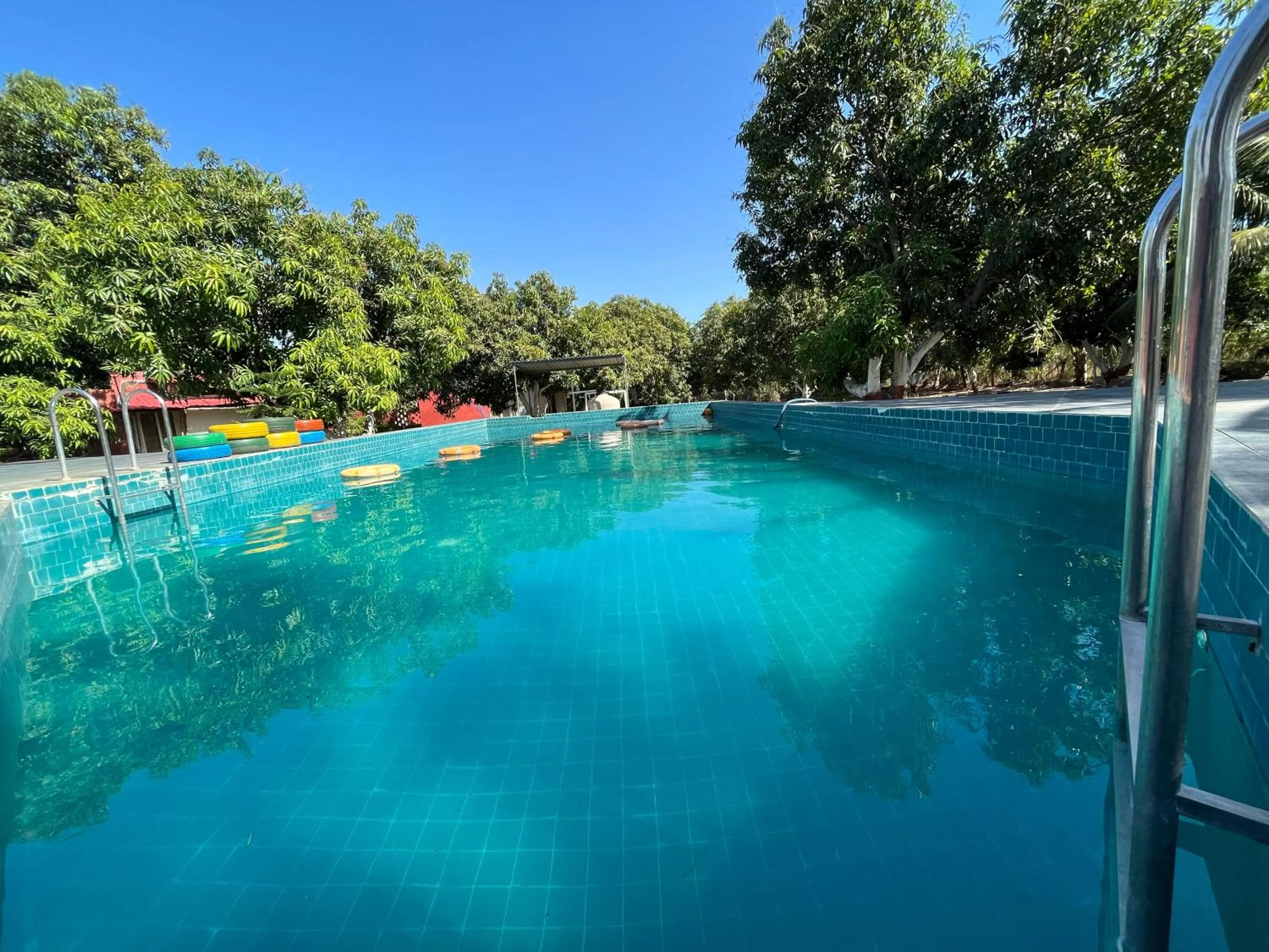 Swimming pool in Amraness Luxury Resort Sasan Gir