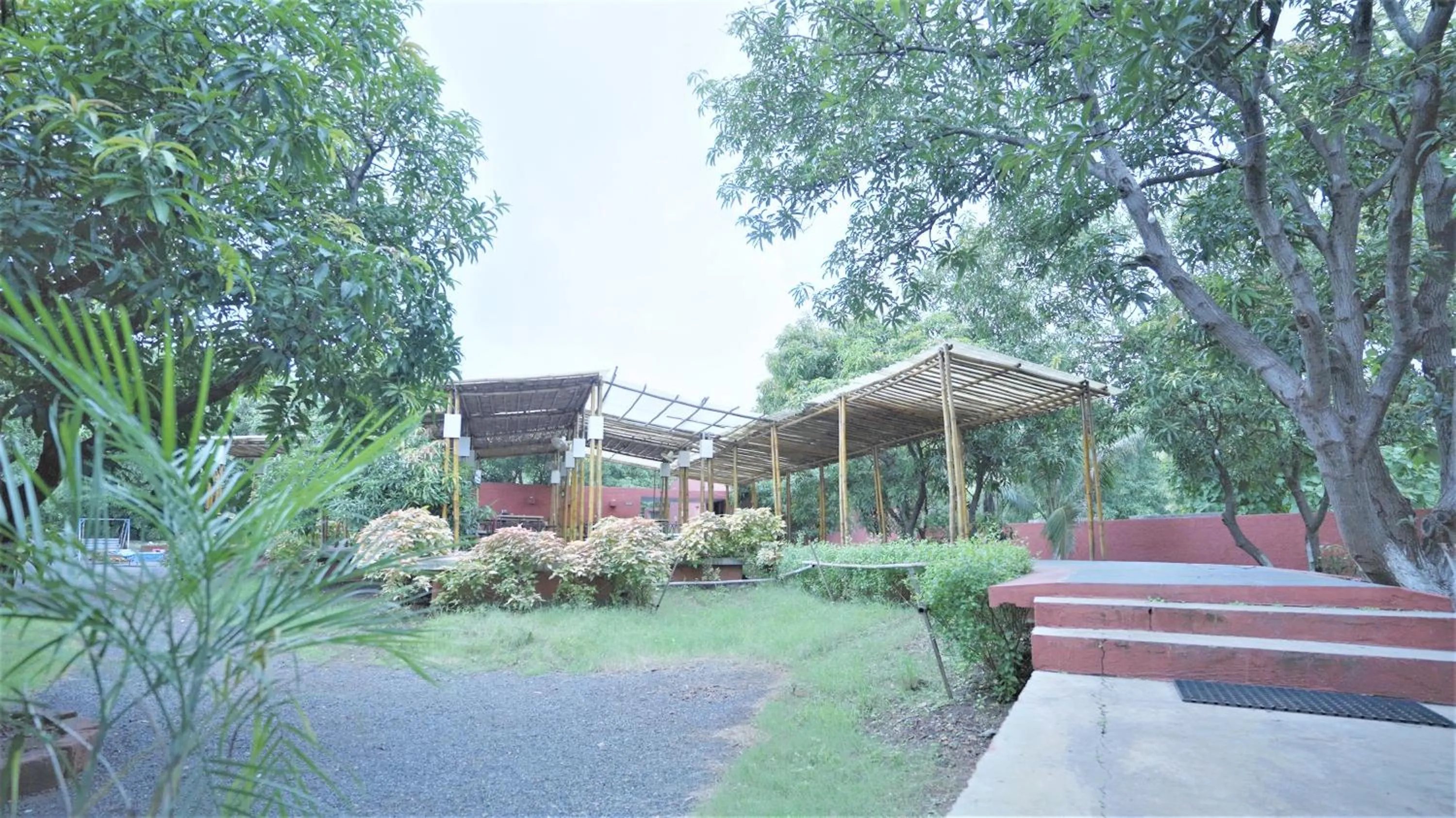 Restaurant/places to eat in Amraness Luxury Resort Sasan Gir