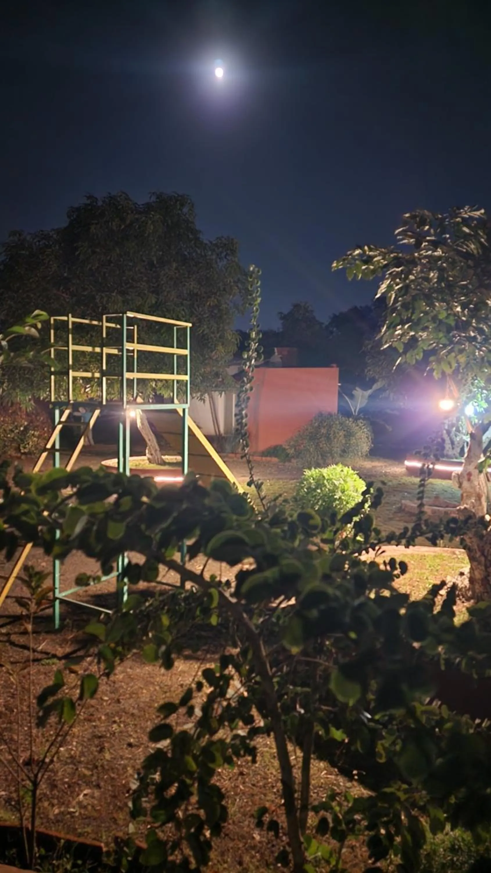 Garden view in Amraness Luxury Resort Sasan Gir