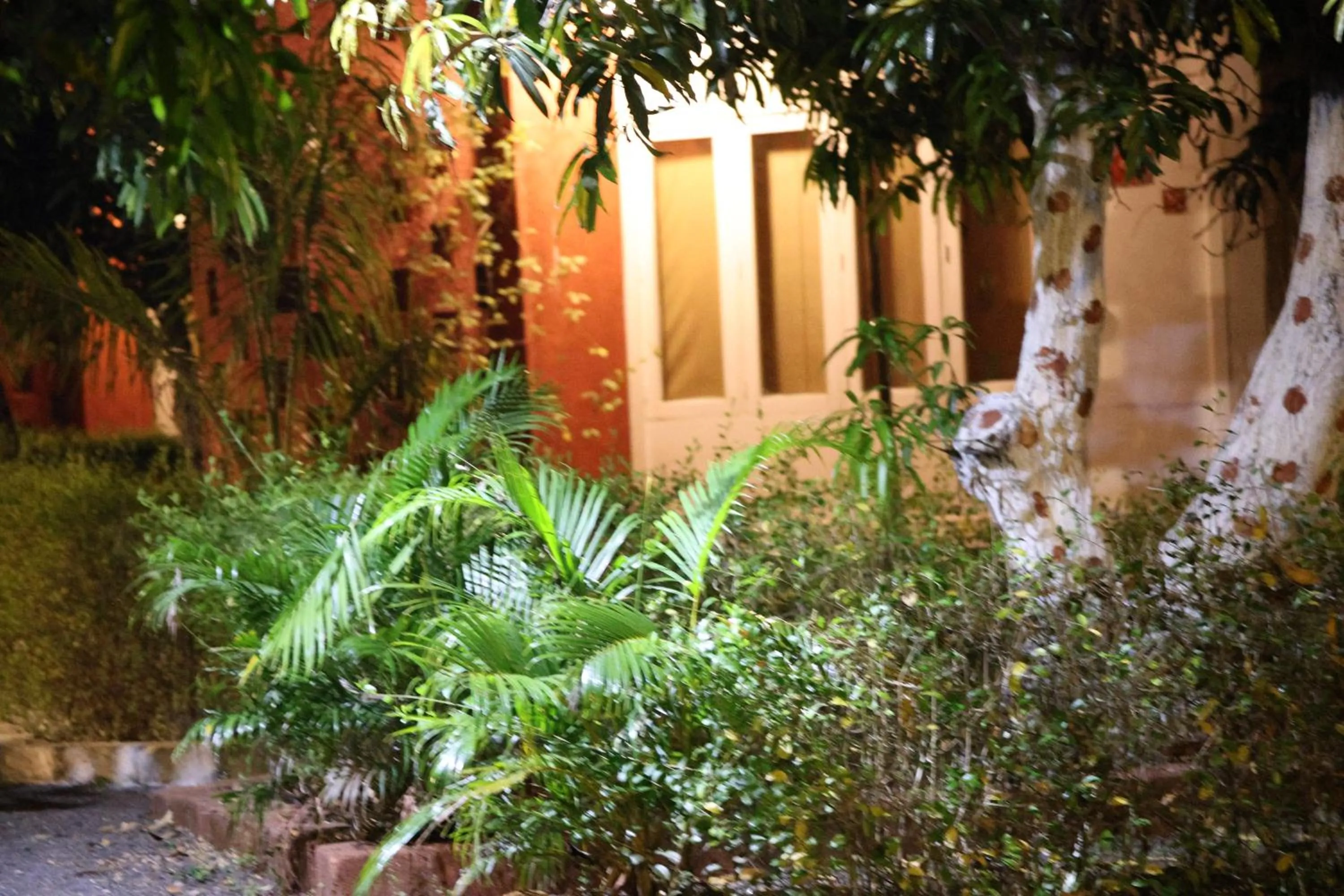 Garden in Amraness Luxury Resort Sasan Gir