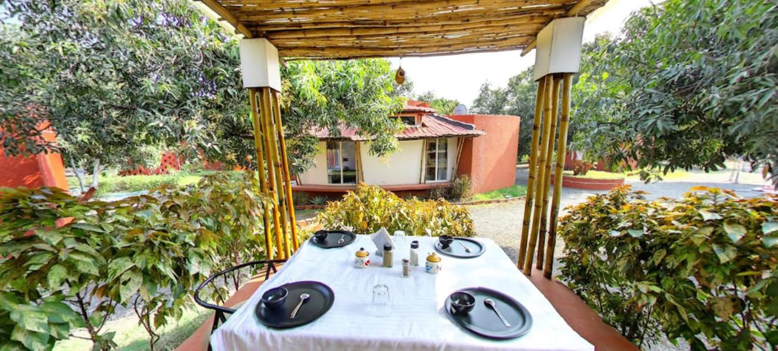 Food and drinks in Amraness Luxury Resort Sasan Gir