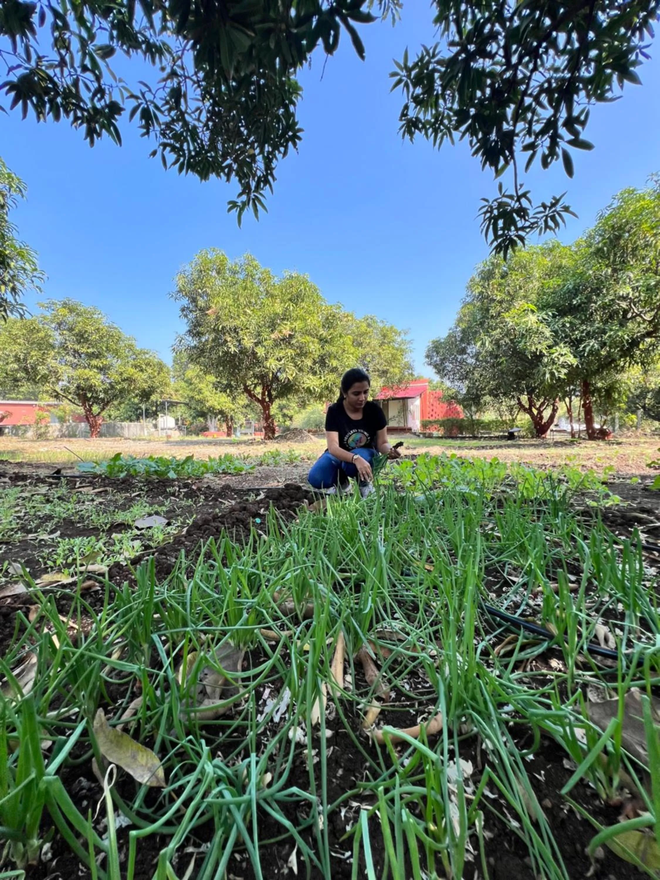 group of guests in Amraness Luxury Resort Sasan Gir