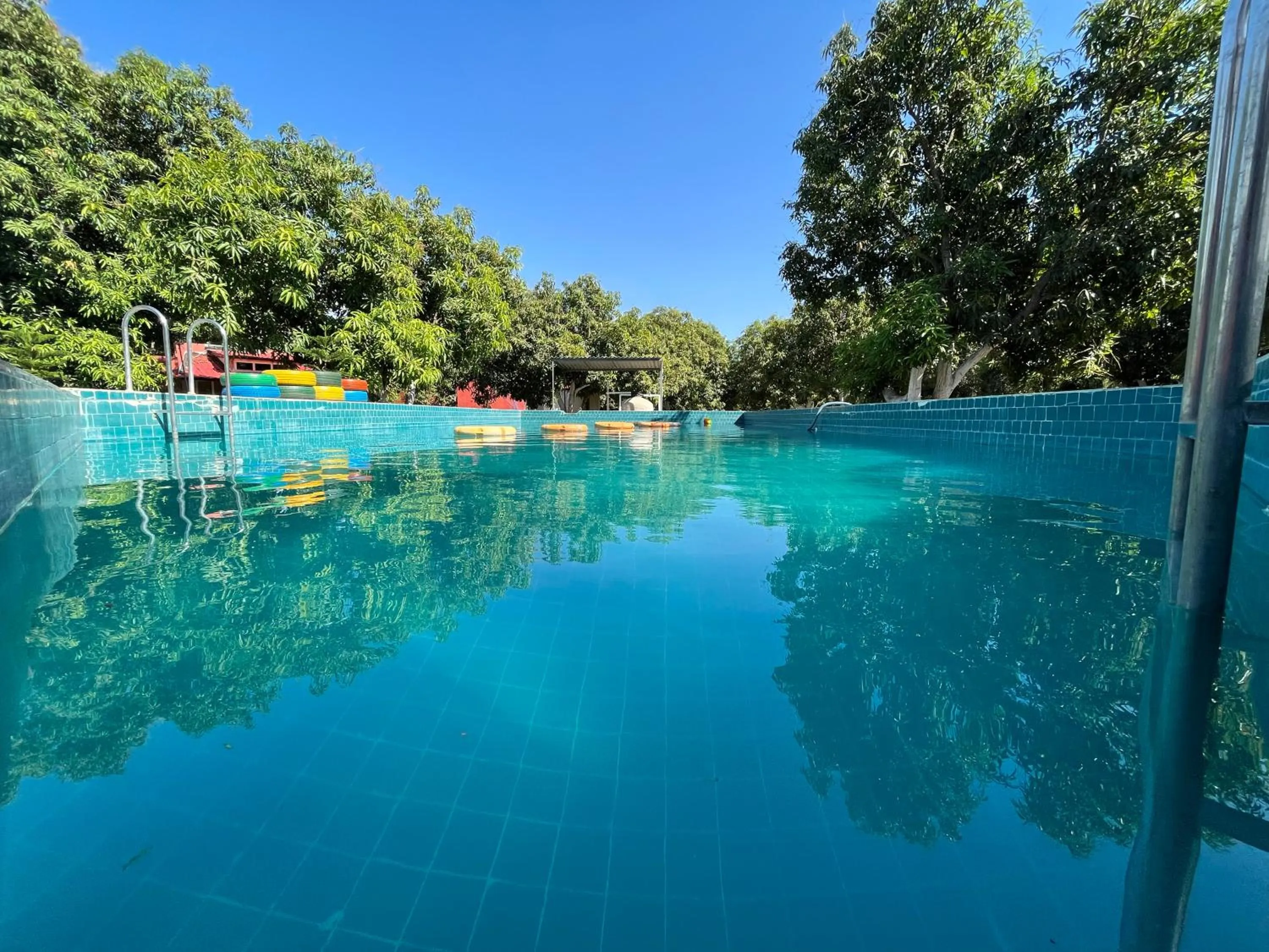 Swimming pool in Amraness Luxury Resort Sasan Gir