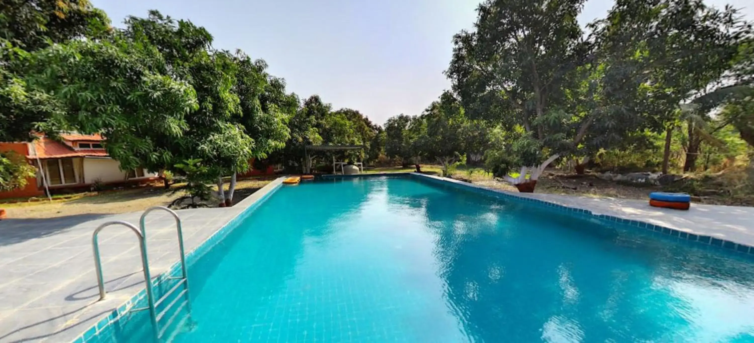 Swimming pool in Amraness Luxury Resort Sasan Gir Swimming pool in Amraness Luxury Resort Sasan Gir