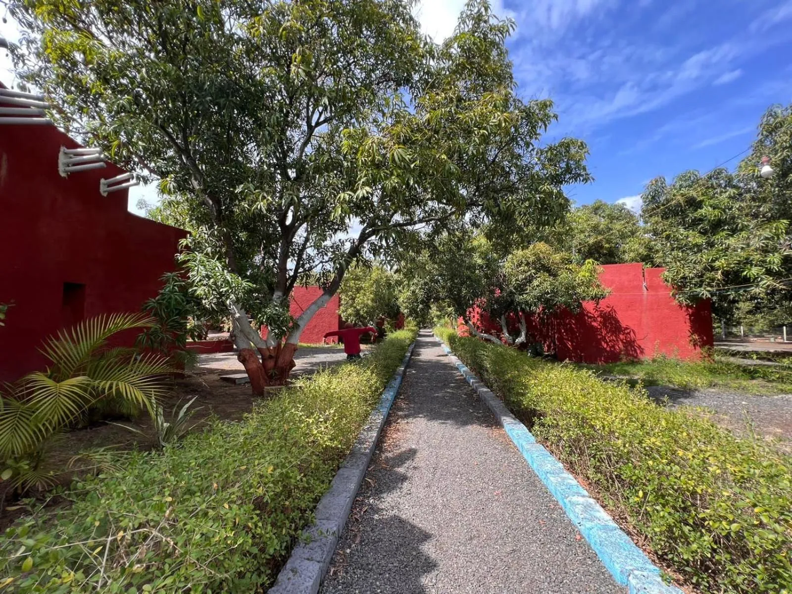 Natural landscape in Amraness Luxury Resort Sasan Gir