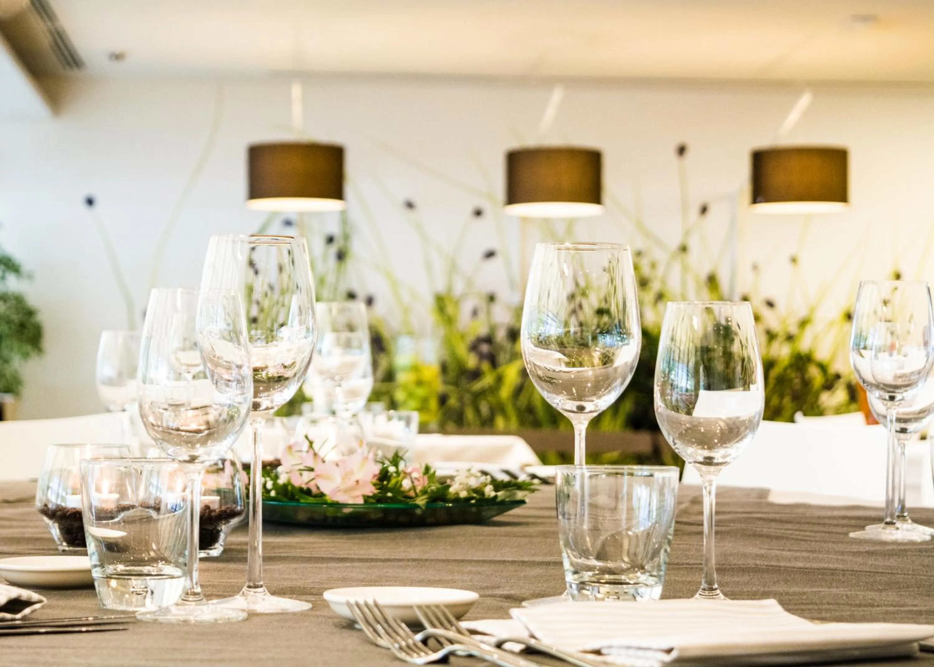 Restaurant/places to eat in Living Place Hotel