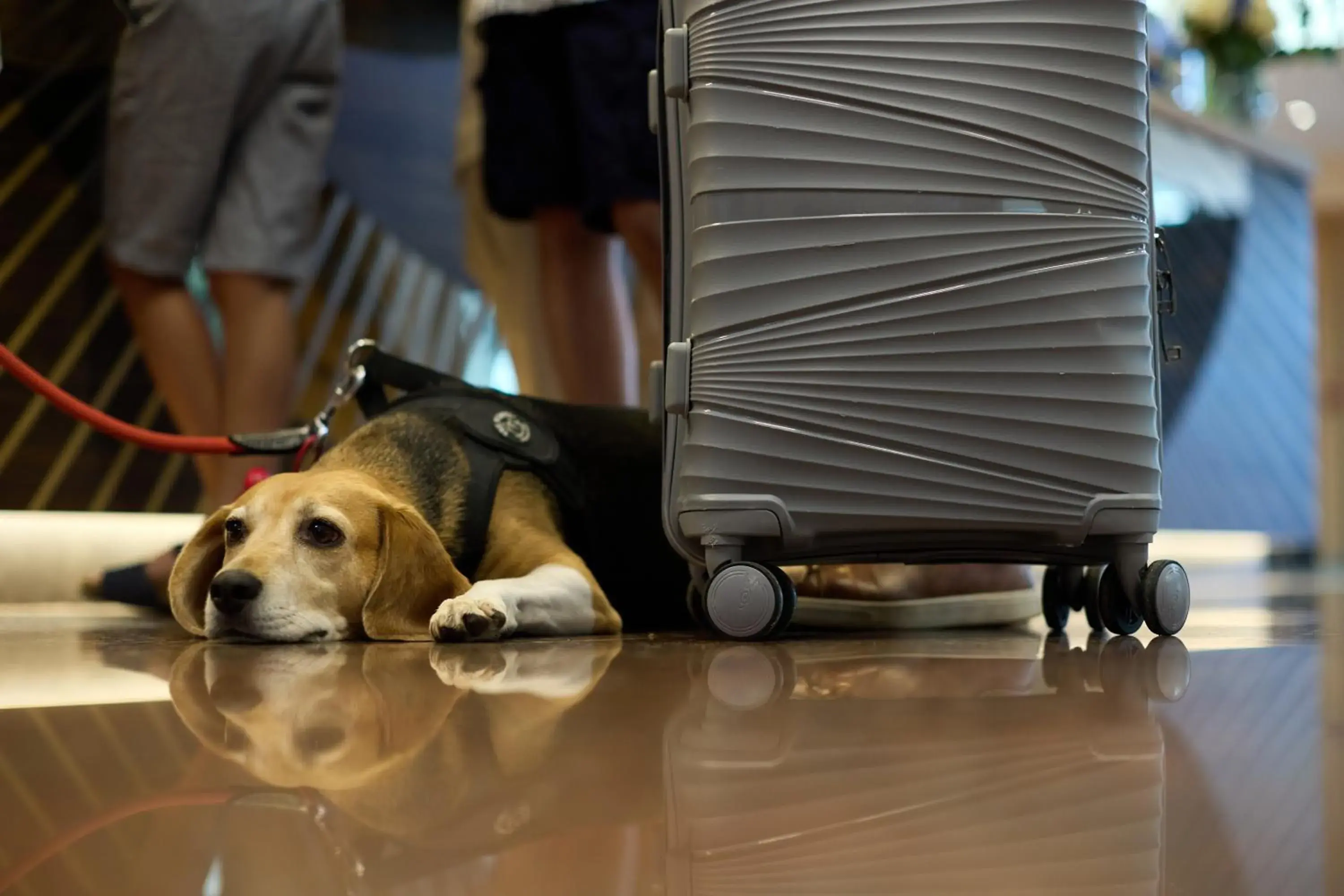 Lobby or reception in Quark Hotel Milano Lobby or reception in Quark Hotel Milano