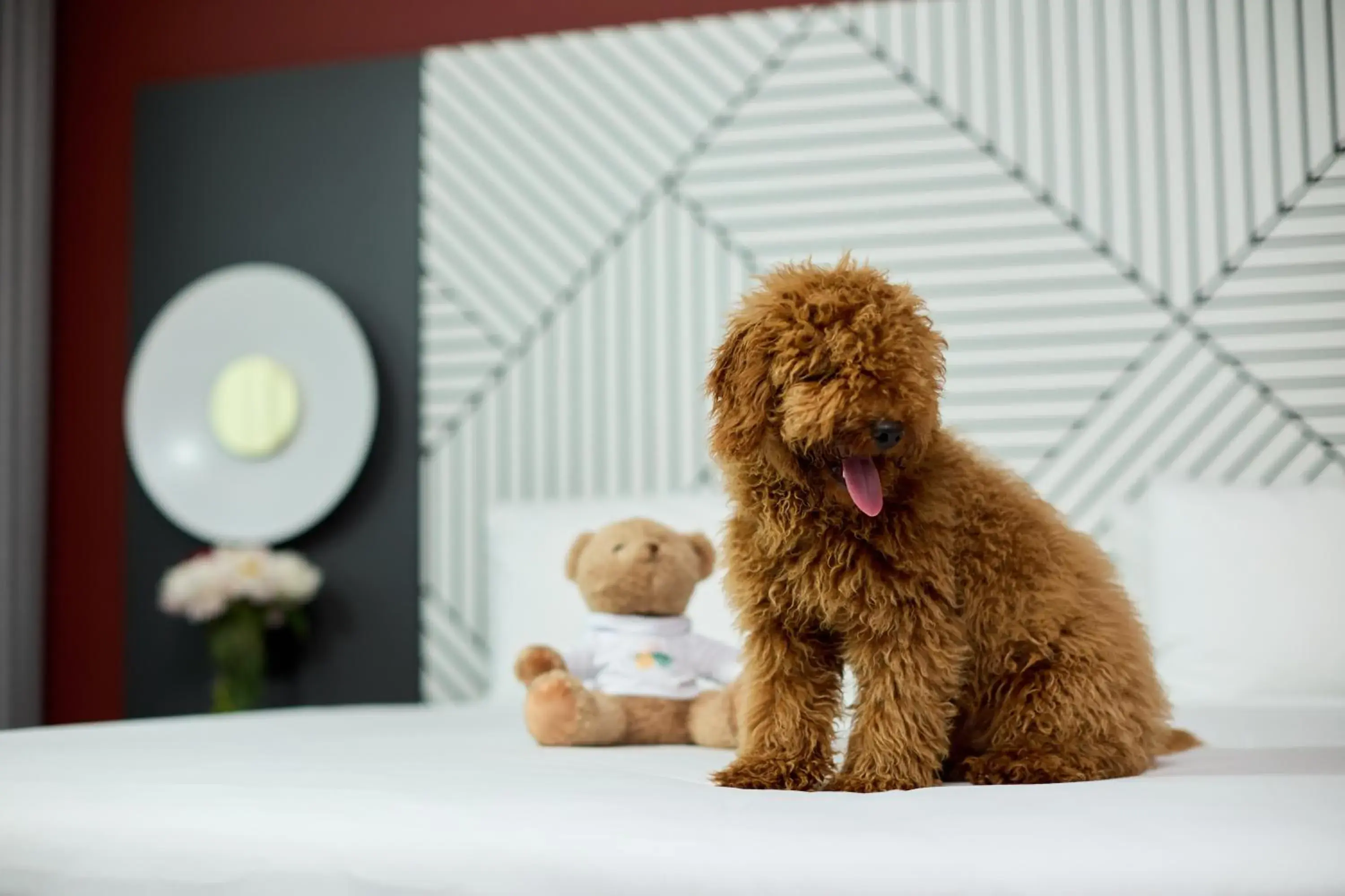 Photo of the whole room in Quark Hotel Milano Photo of the whole room in Quark Hotel Milano