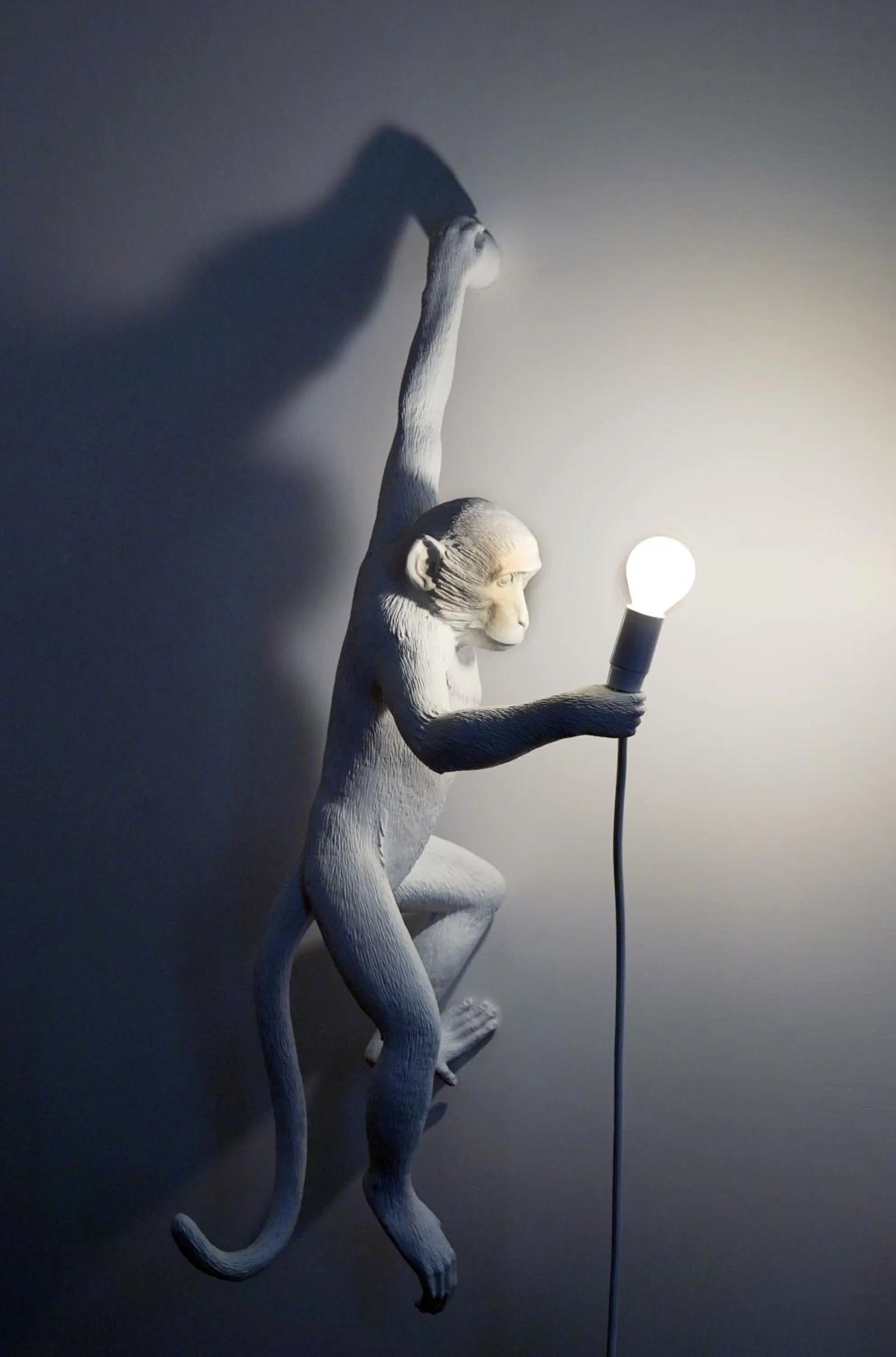 Decorative detail in LUCIANO MONTI APARTMENT