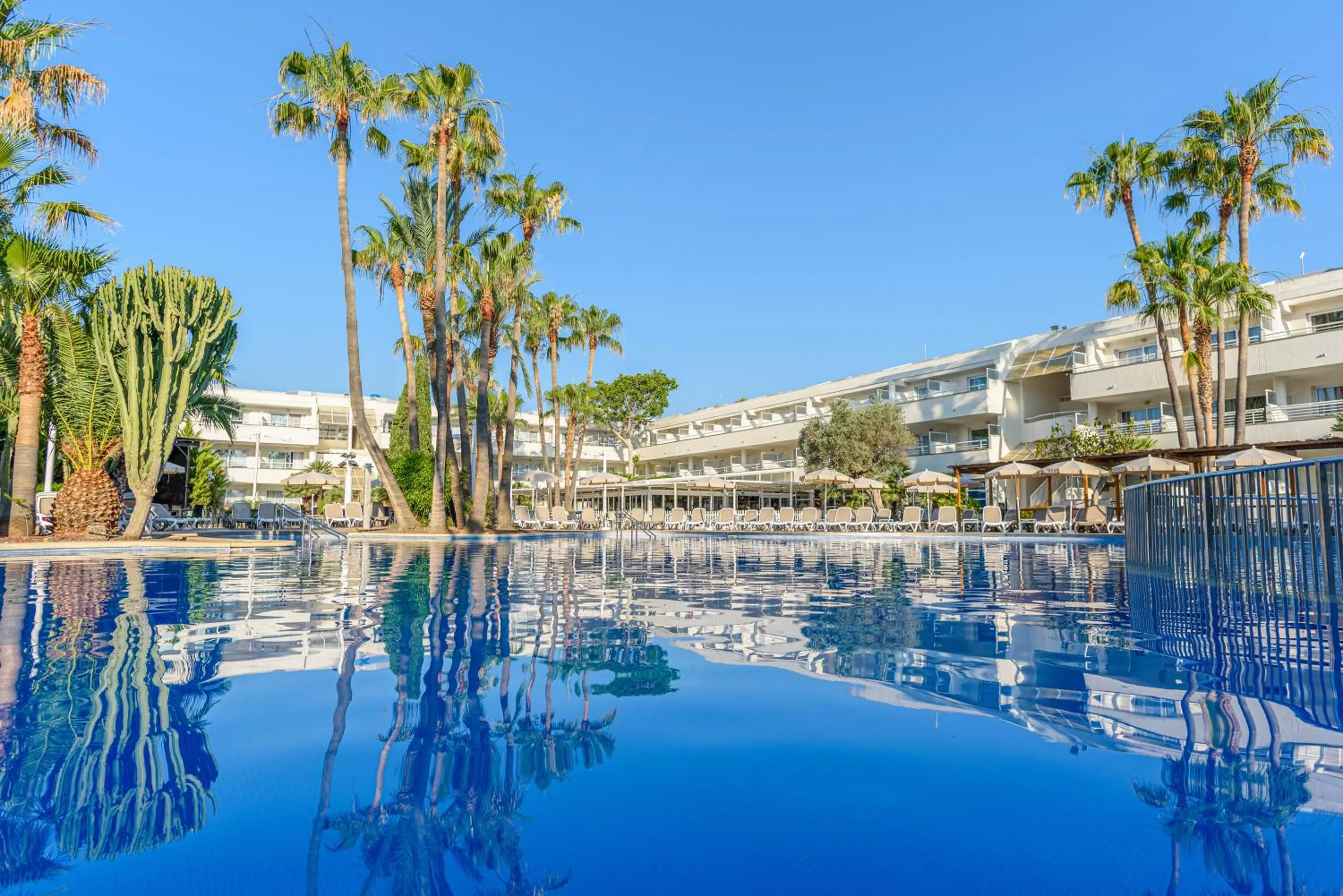 Swimming pool in FERGUS Club Palmanova Park