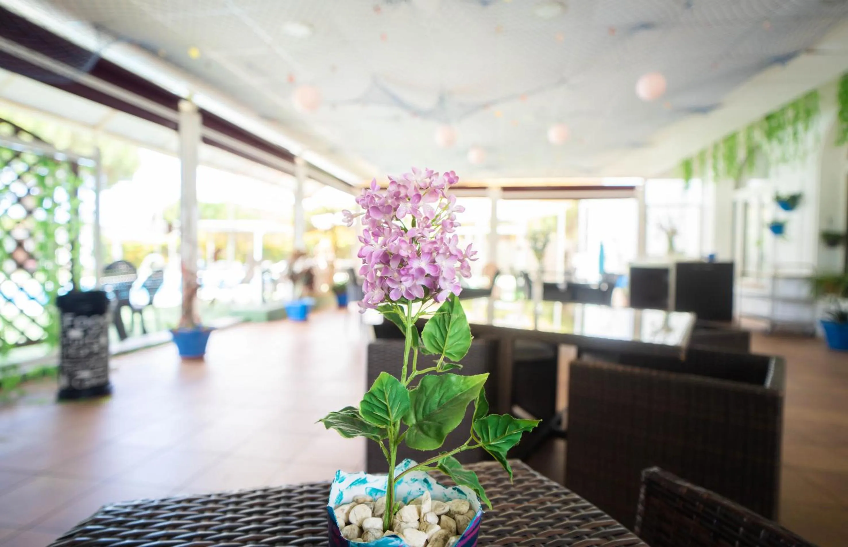 Property building in Hotel Albaida Nature