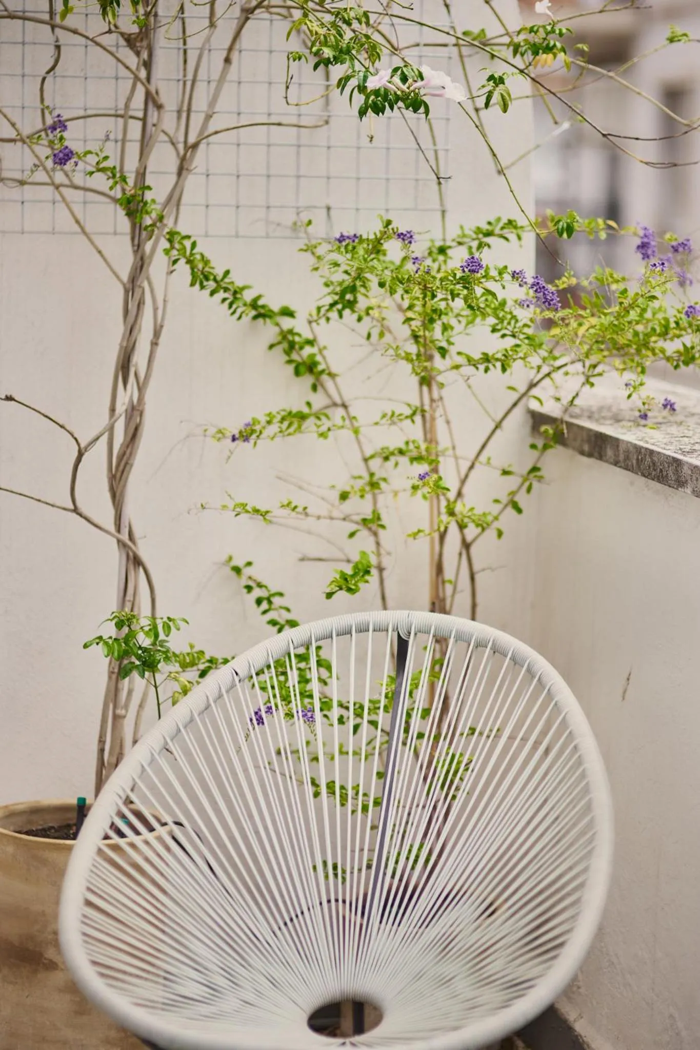 Off site in Reyes Católicos