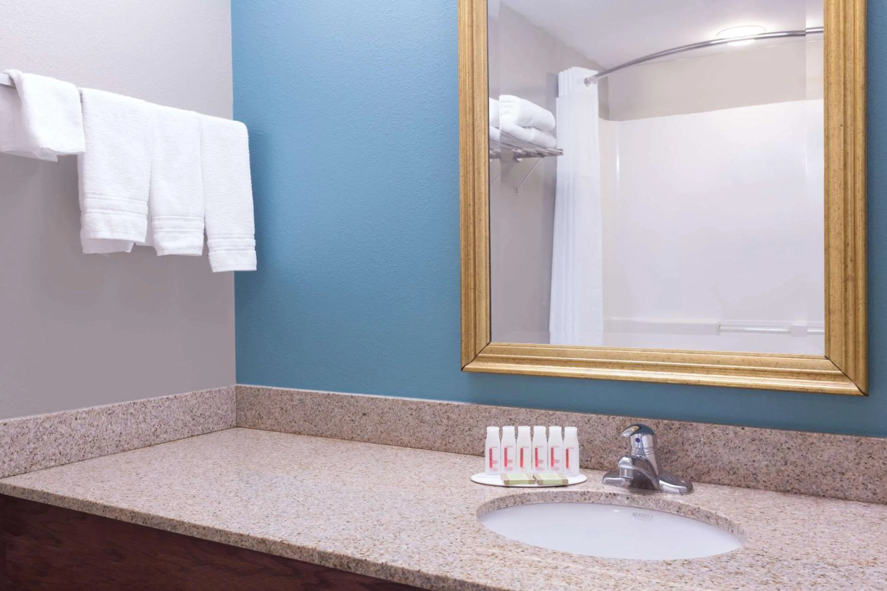 Bathroom in Super 8 by Wyndham Rainsville