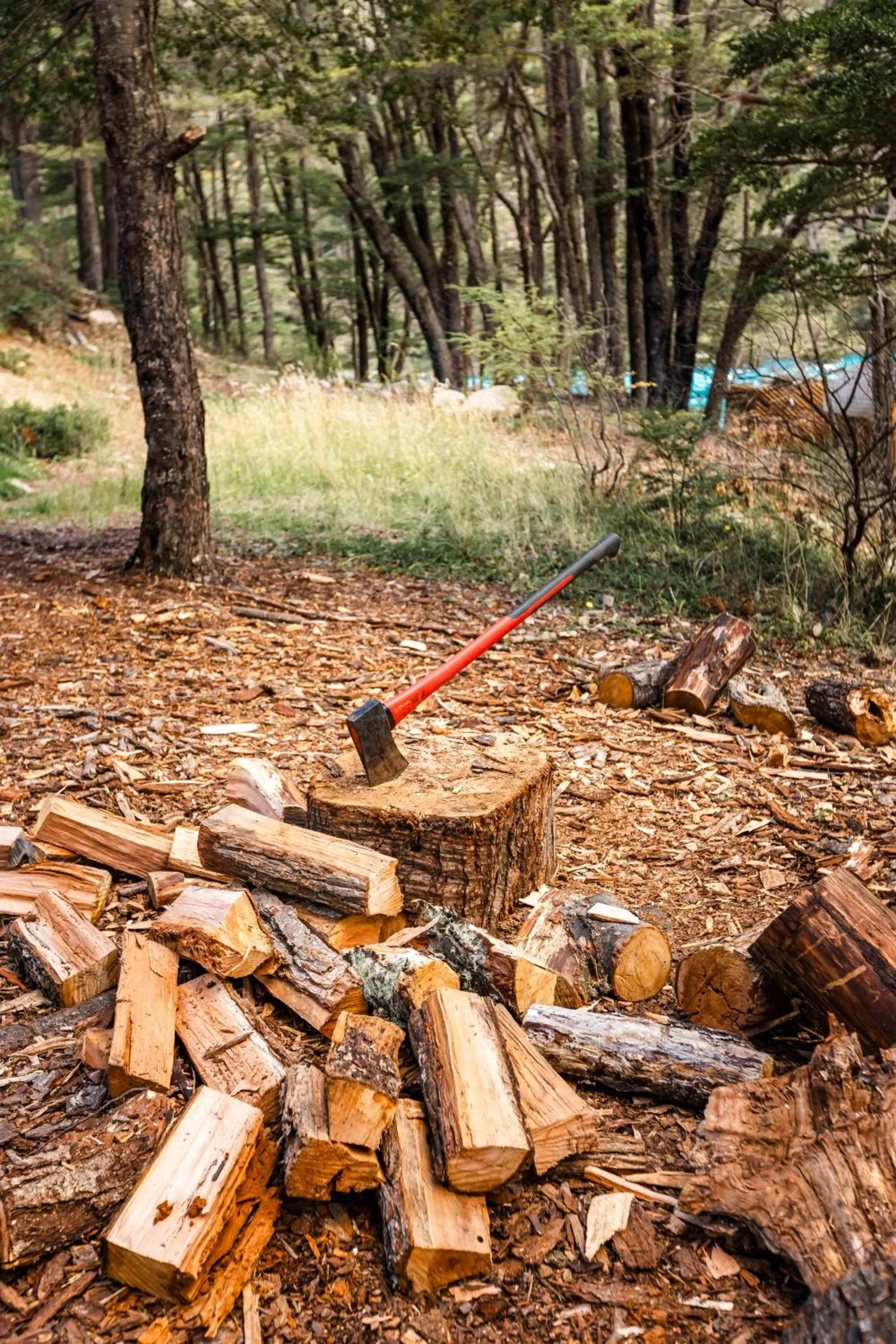Natural landscape in Green Baker Lodge