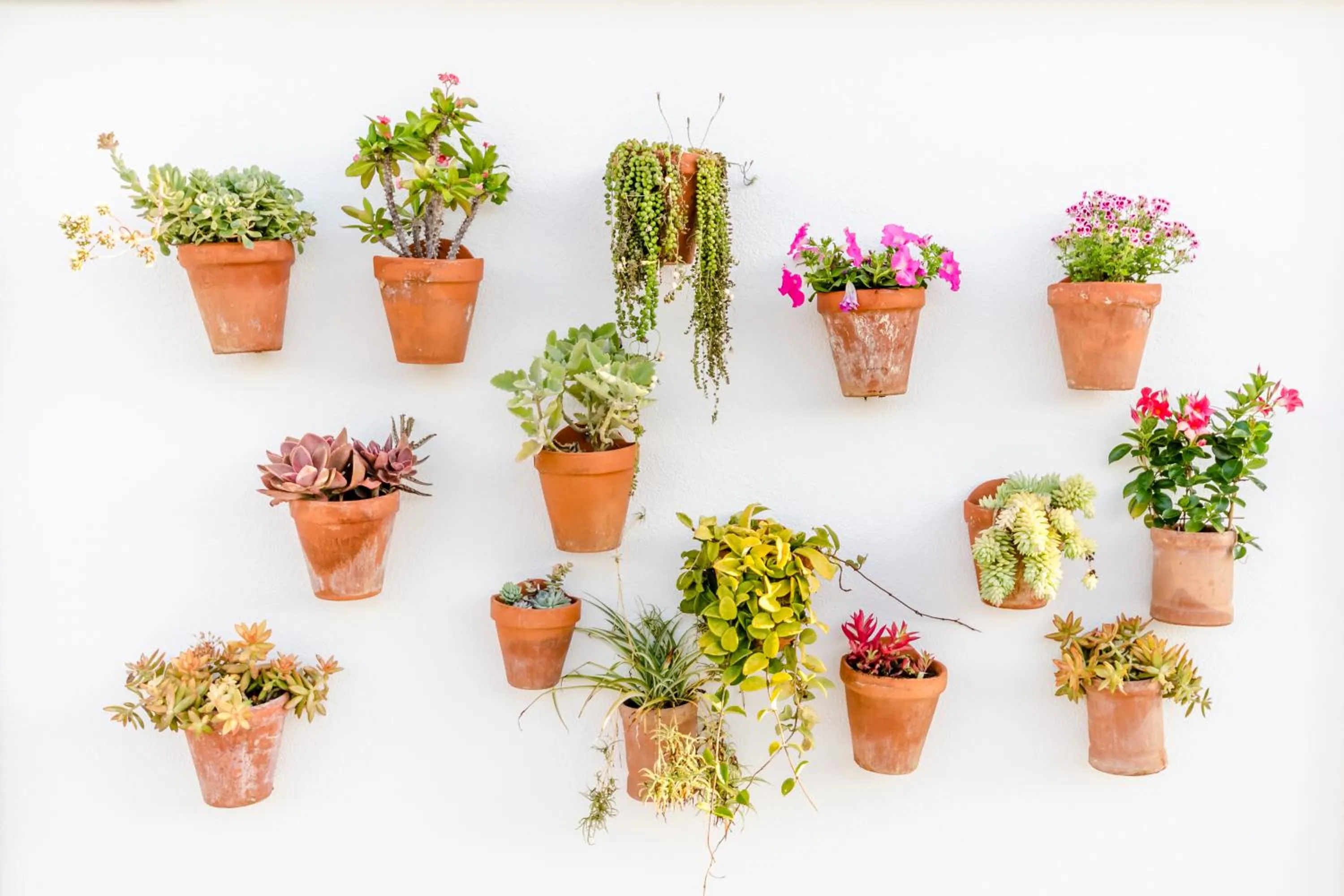 Facade/entrance in Apartamentos Blancala