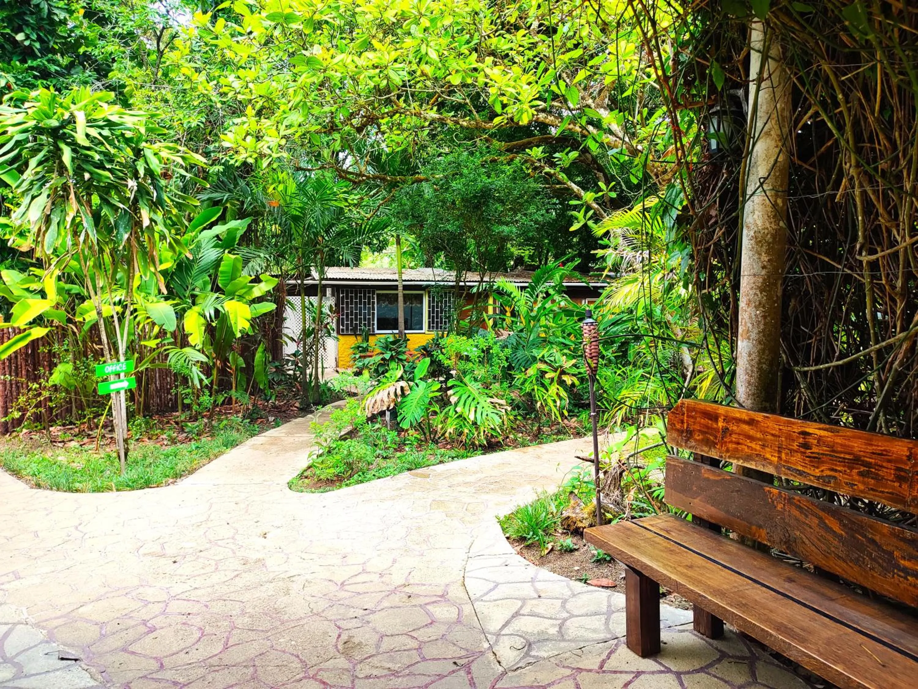 Property building in Maya Mountain Lodge