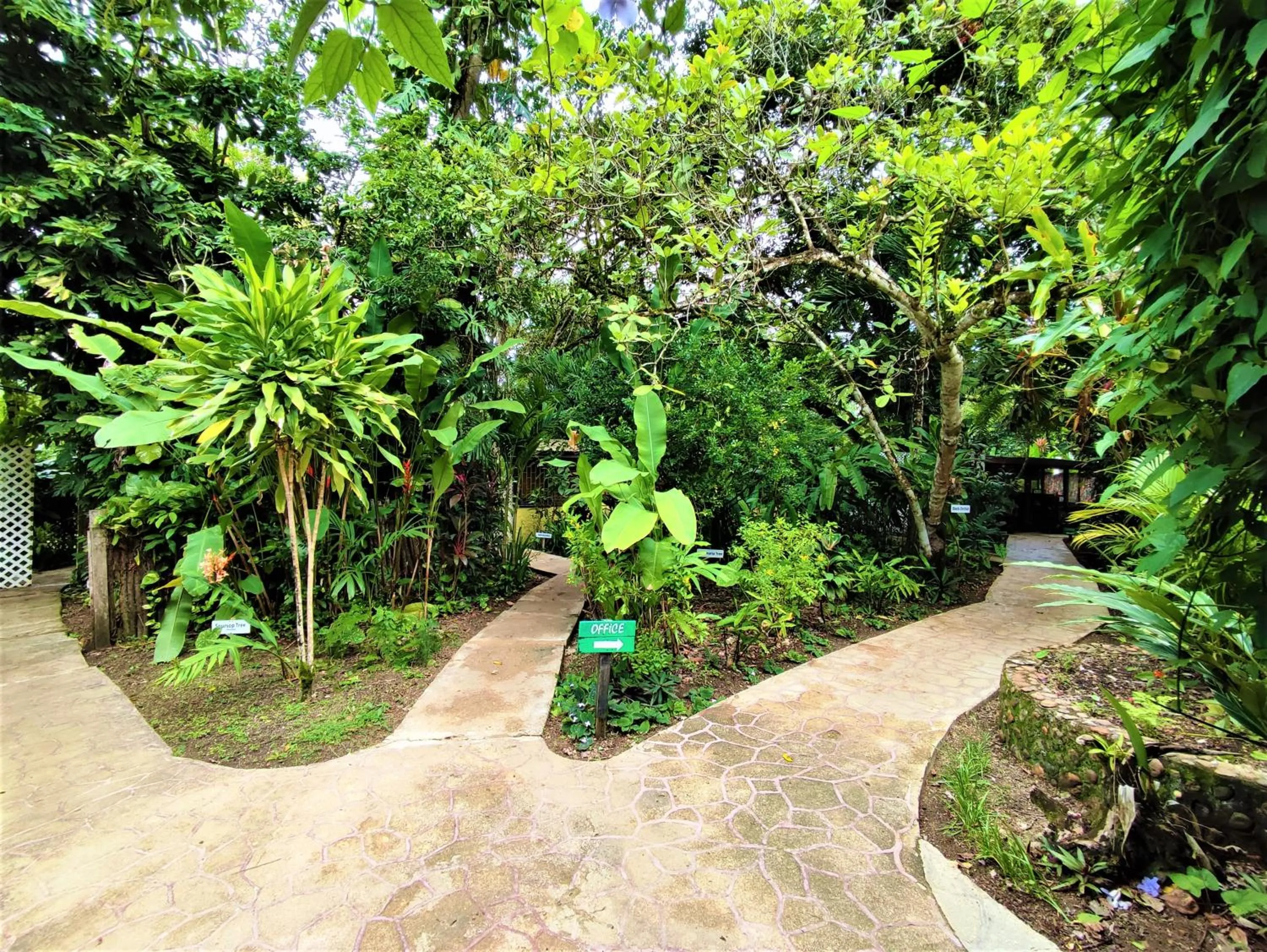 Natural landscape in Maya Mountain Lodge