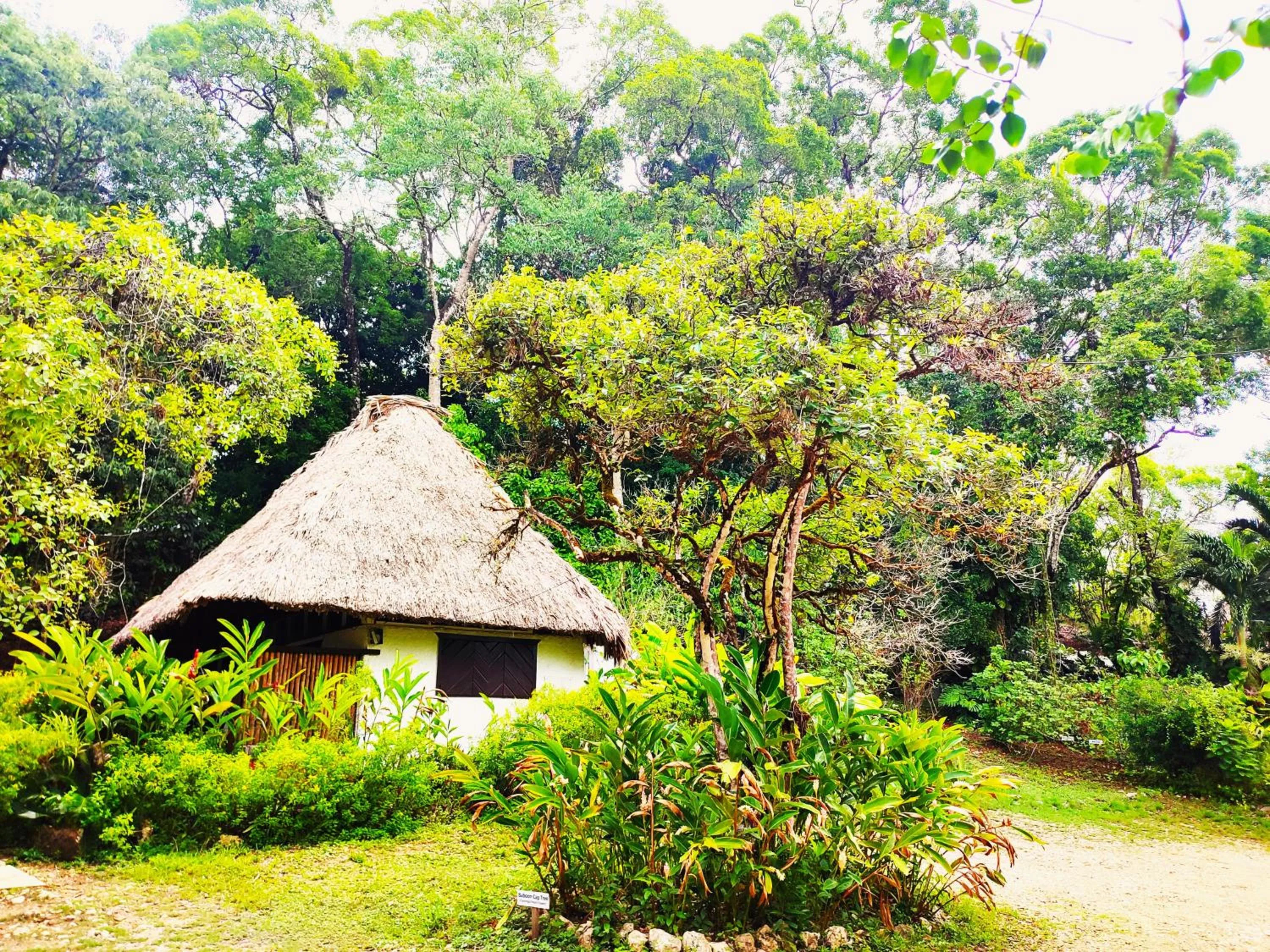 Property building in Maya Mountain Lodge
